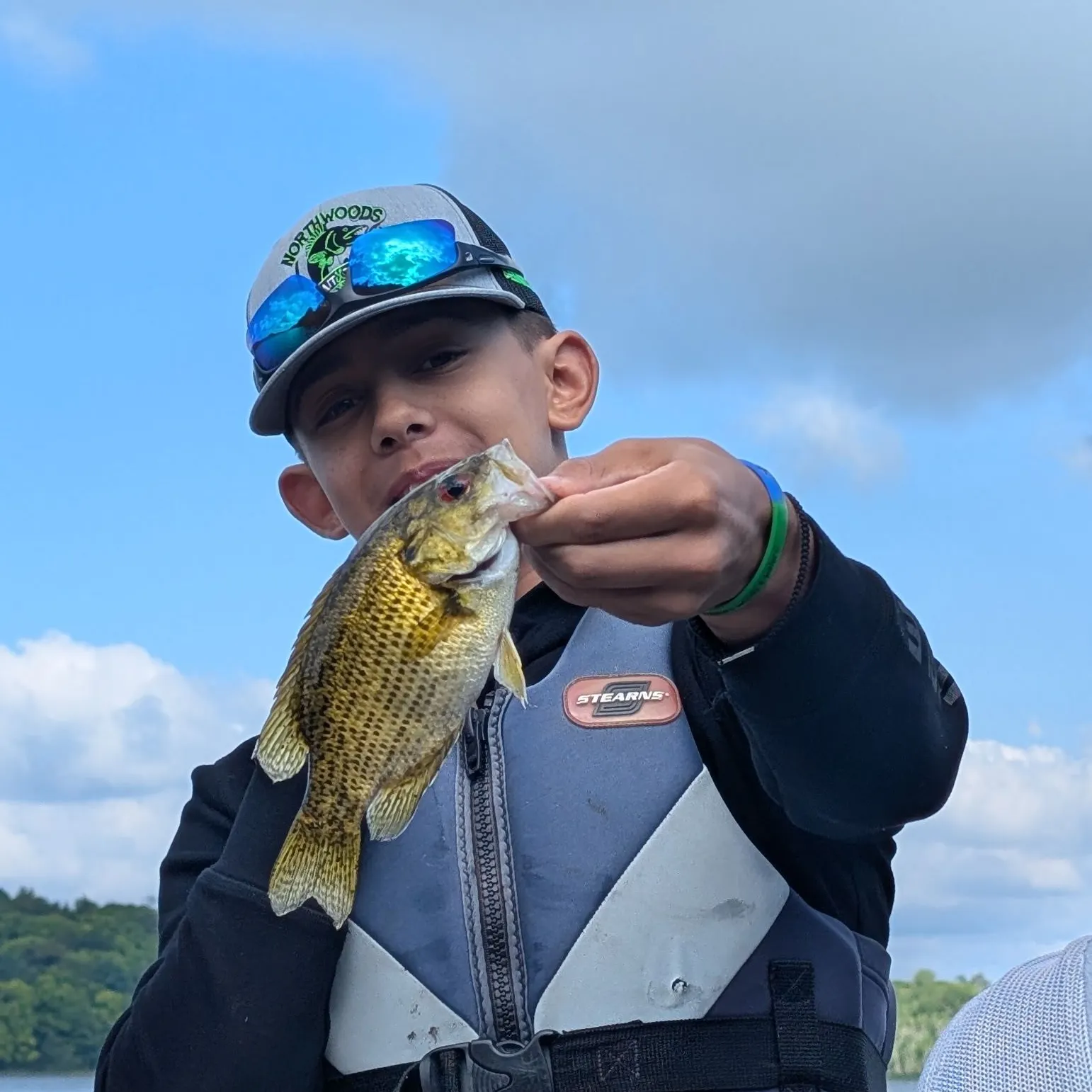 Rock bass caught on Fishbrain