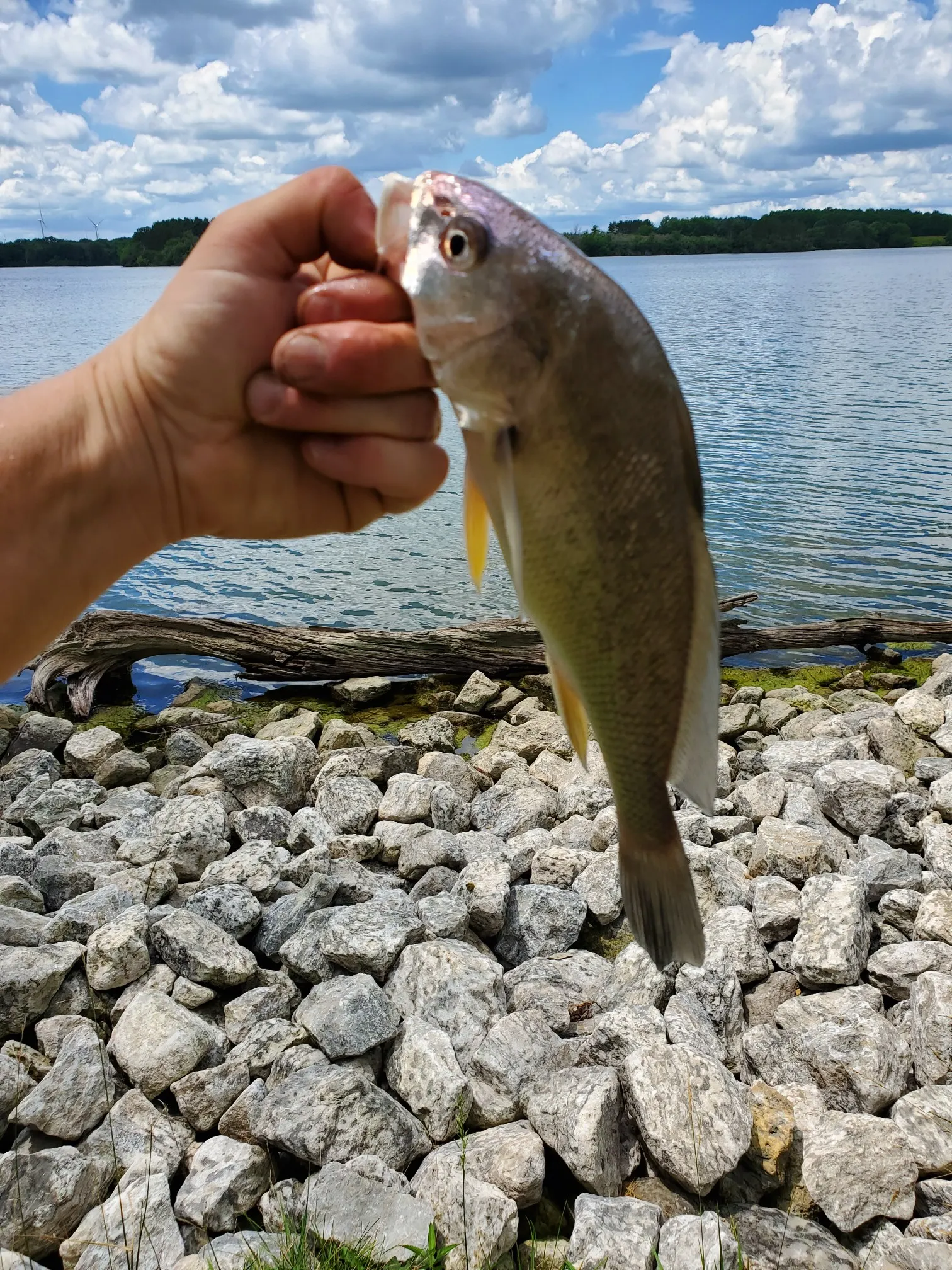 Post image from rkdkak