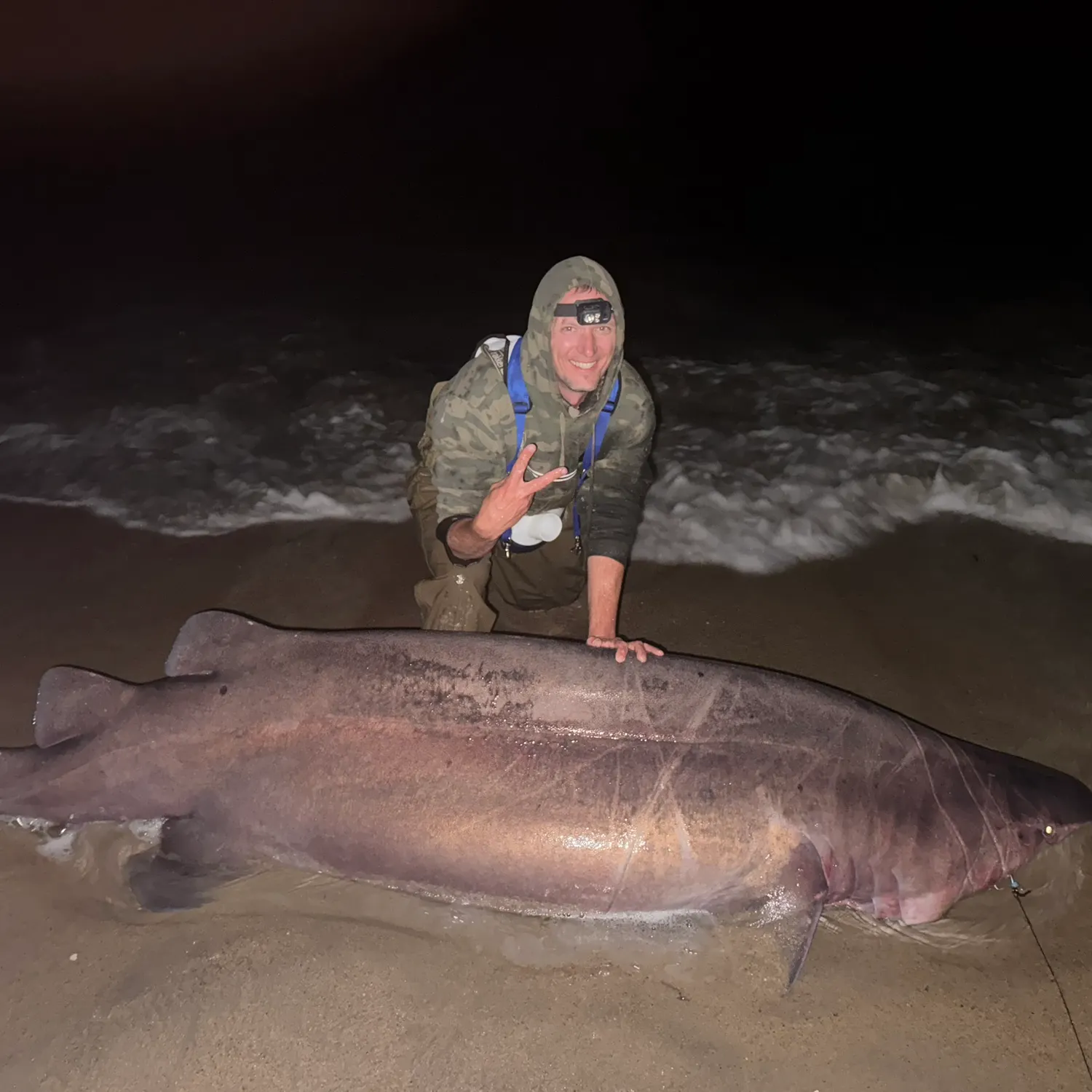 The most recent Prickly shark catches on Fishbrain