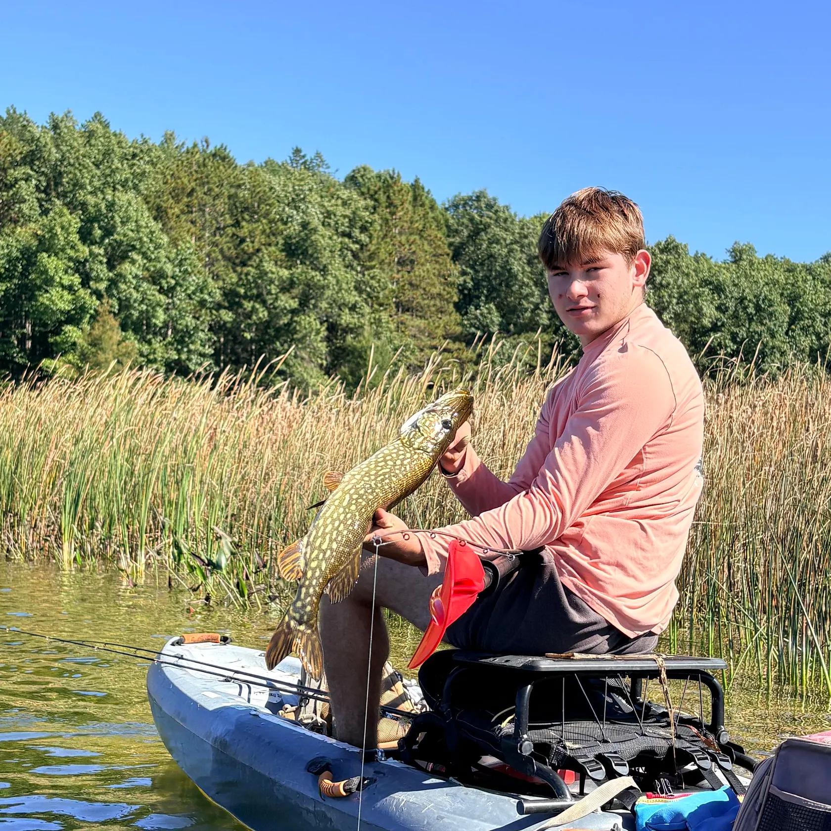 Northern pike caught on Fishbrain