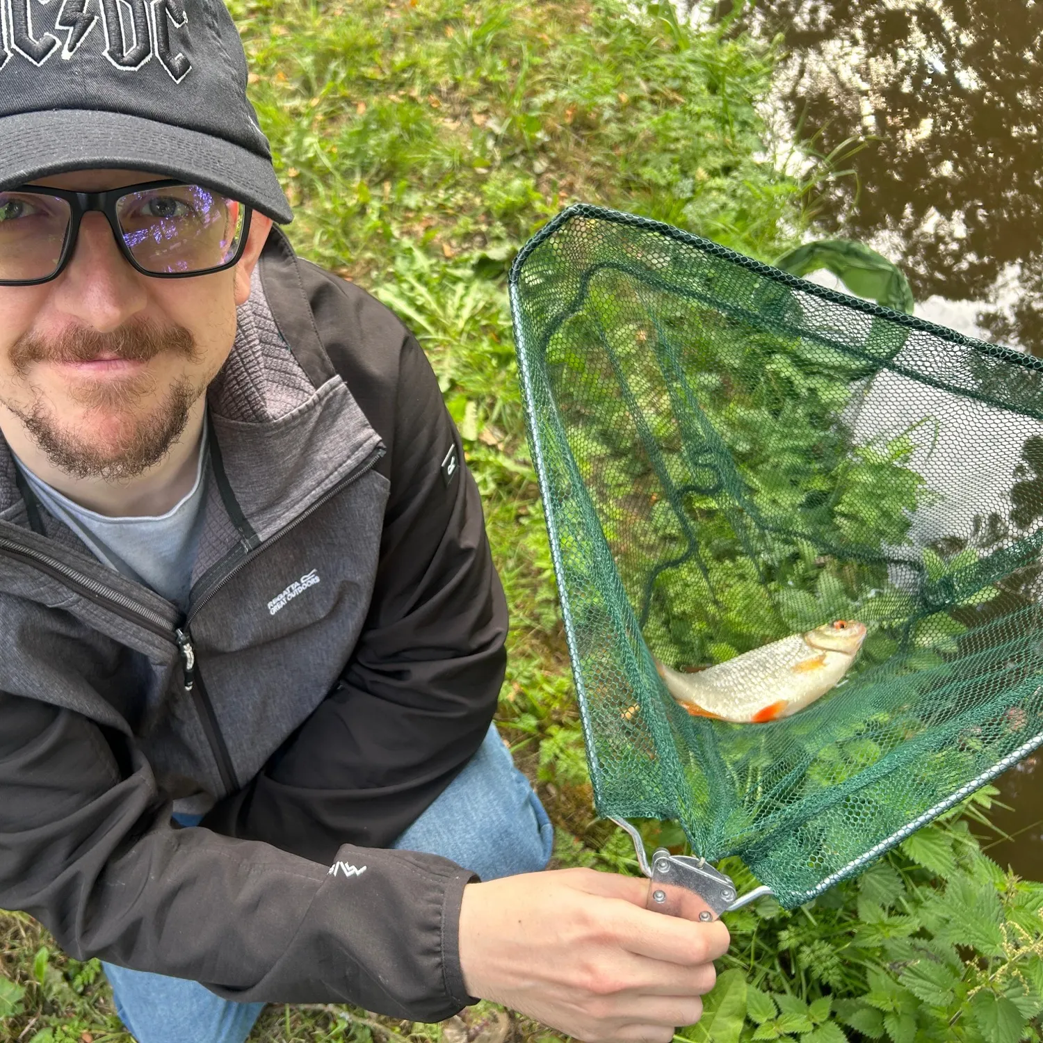 Common roach caught on Fishbrain