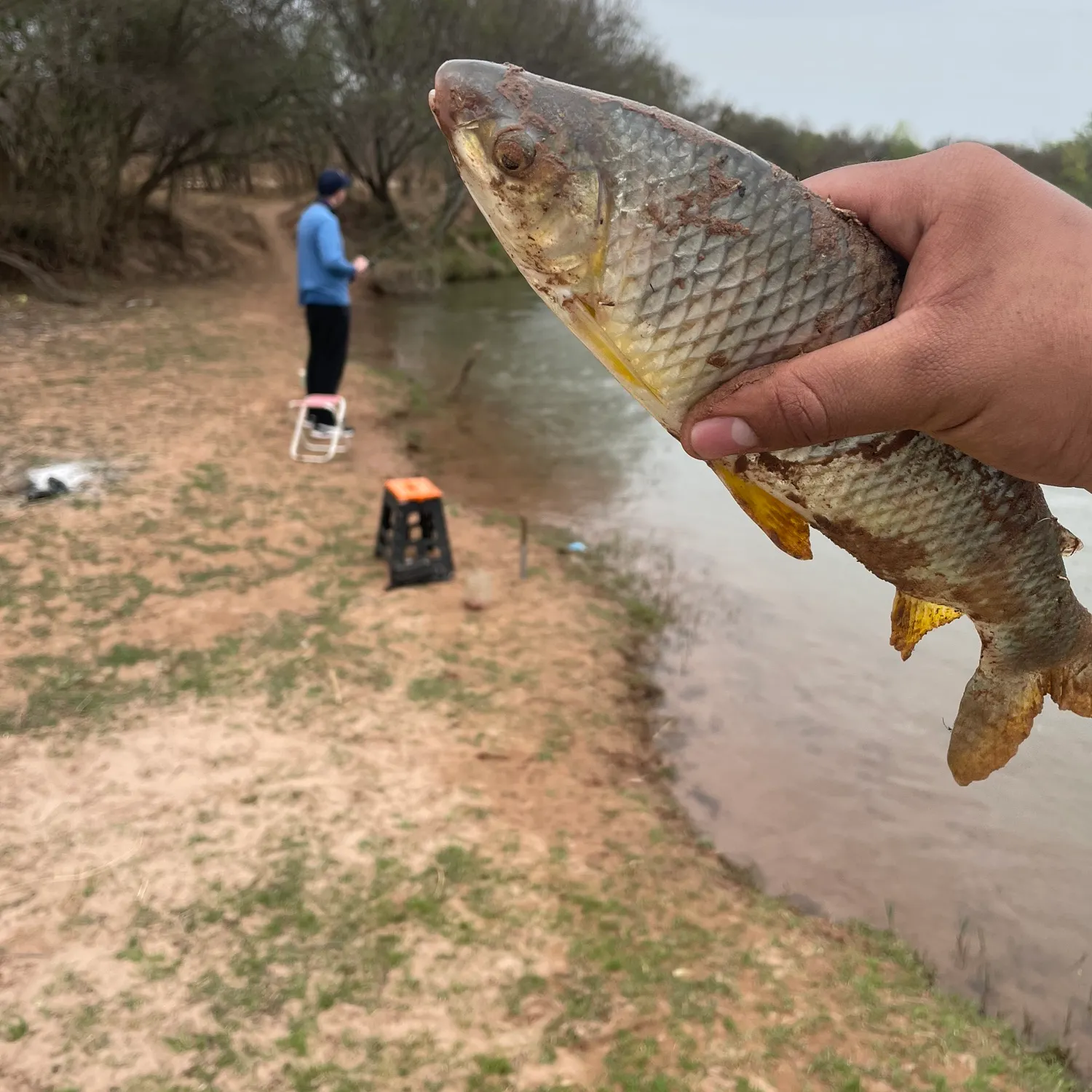 The most recent Boga catches on Fishbrain