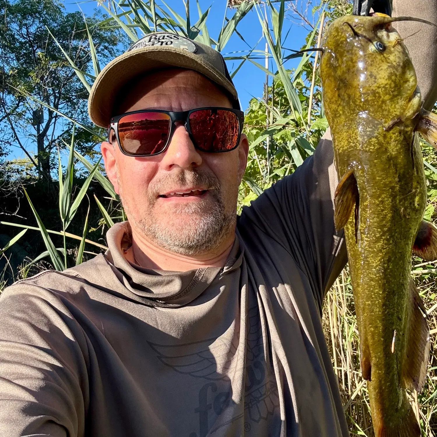 Yellow bullhead caught on Fishbrain