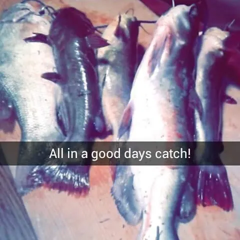 recently logged catches