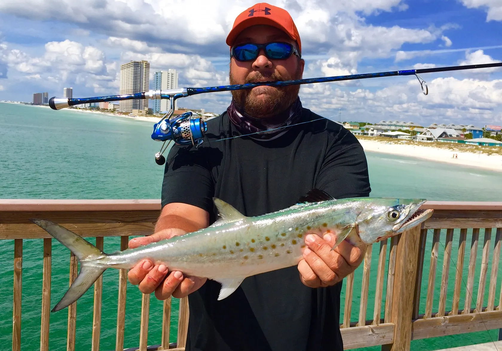 Spanish mackerel