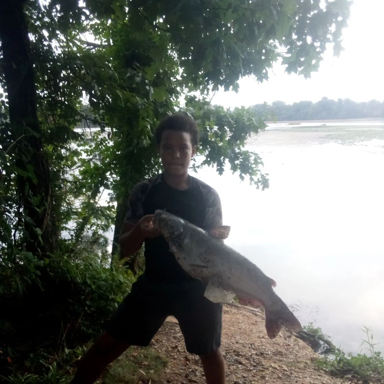 Blue catfish caught on Fishbrain