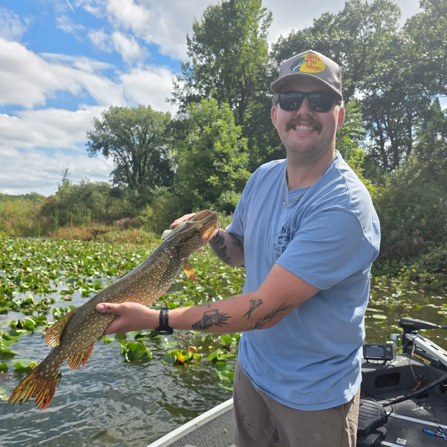 Northern pike caught on Fishbrain