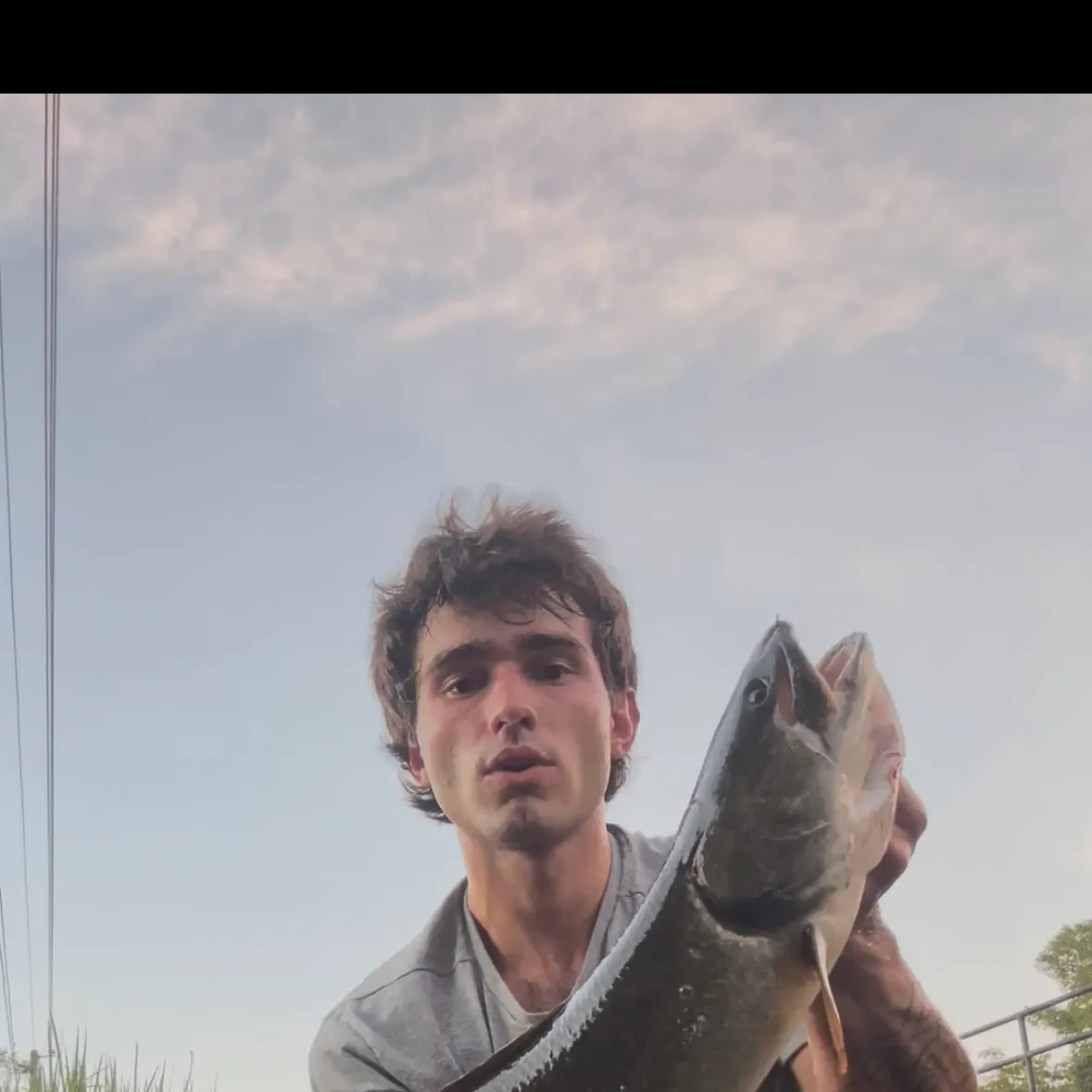 The most recent Ruddy bowfin catches on Fishbrain