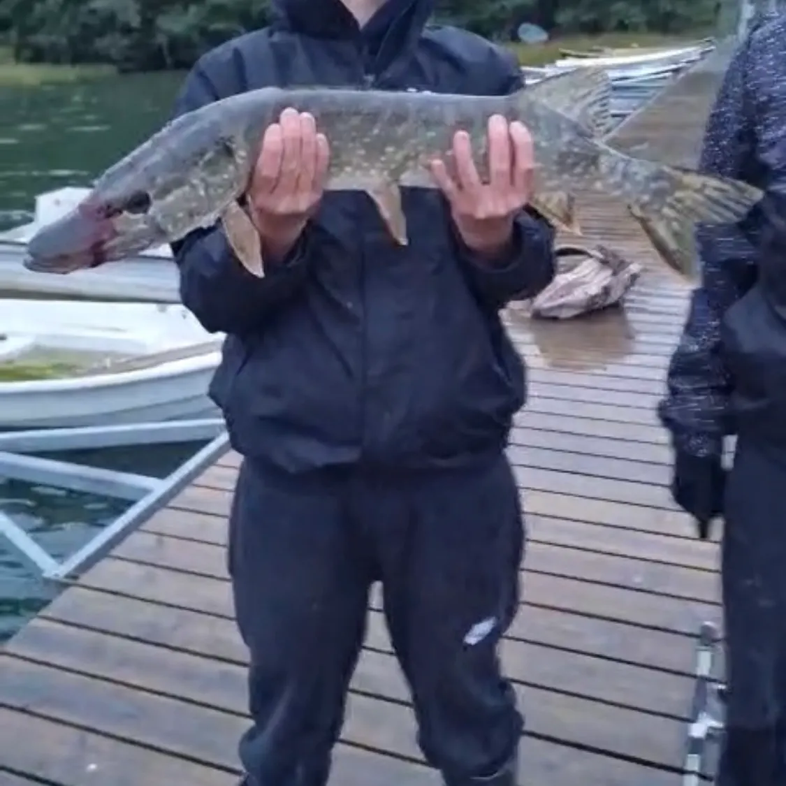 Northern pike caught on Fishbrain