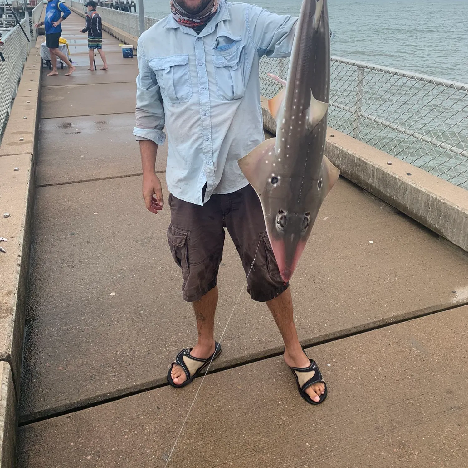 angler catch