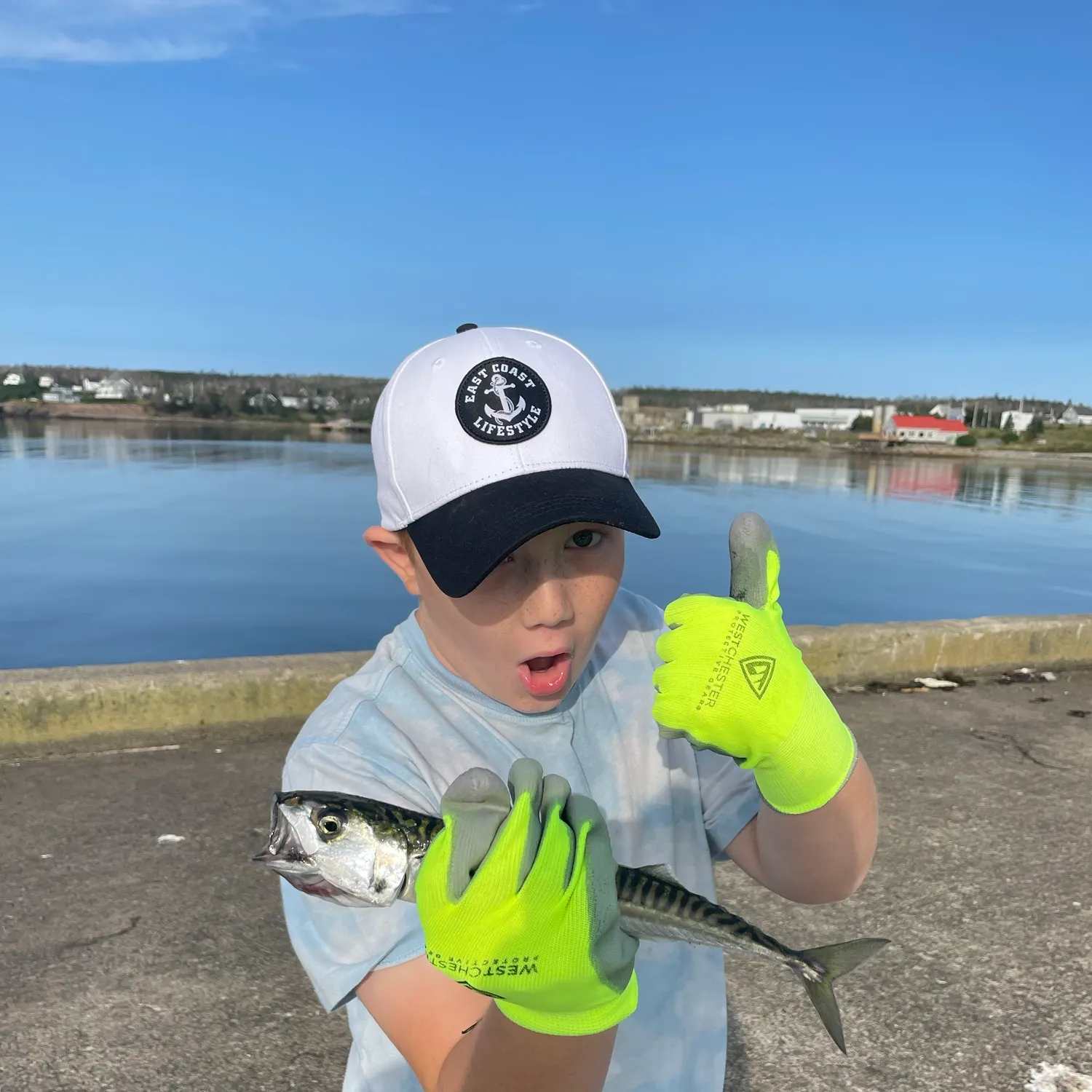 Atlantic mackerel caught on Fishbrain