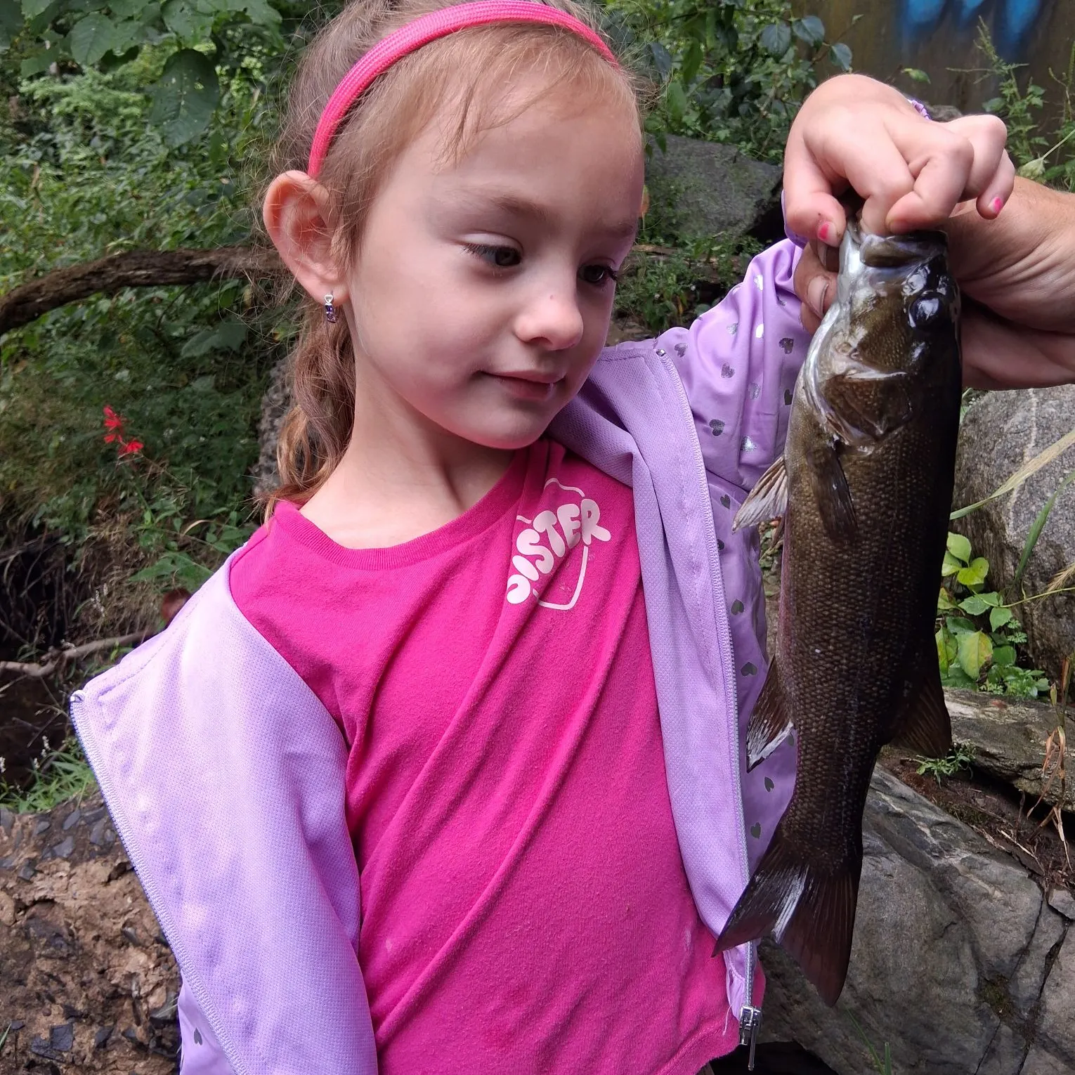 Smallmouth bass caught on Fishbrain