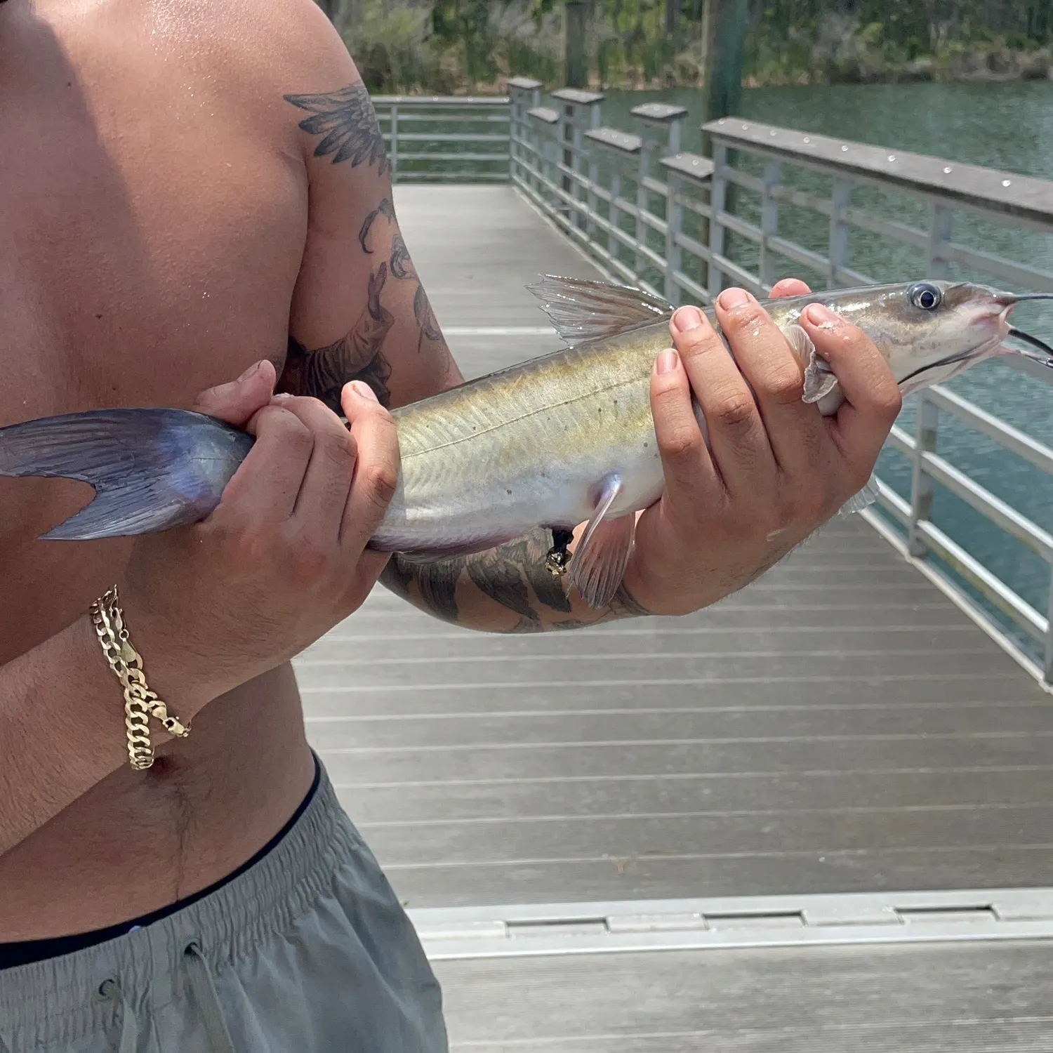 catch