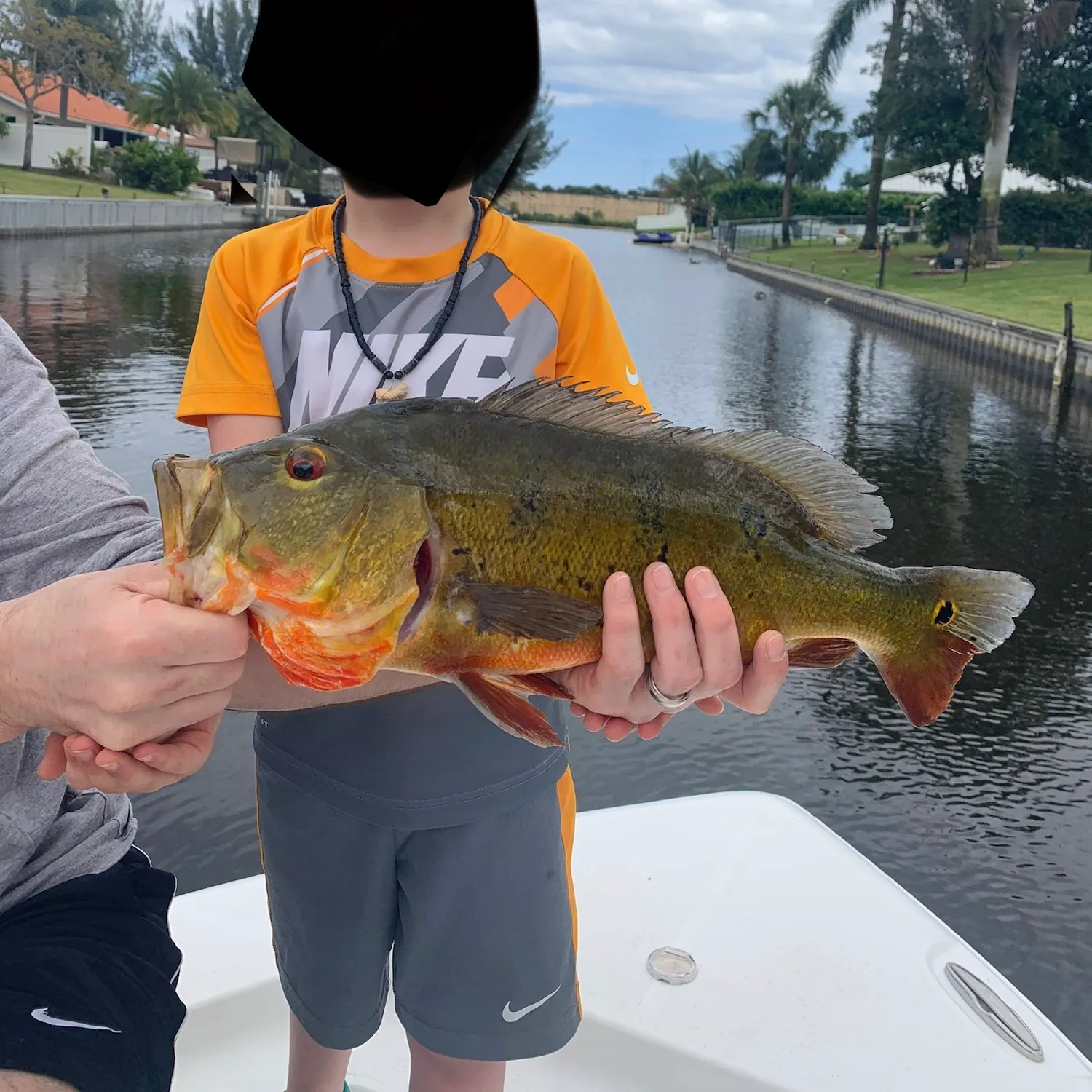 catch