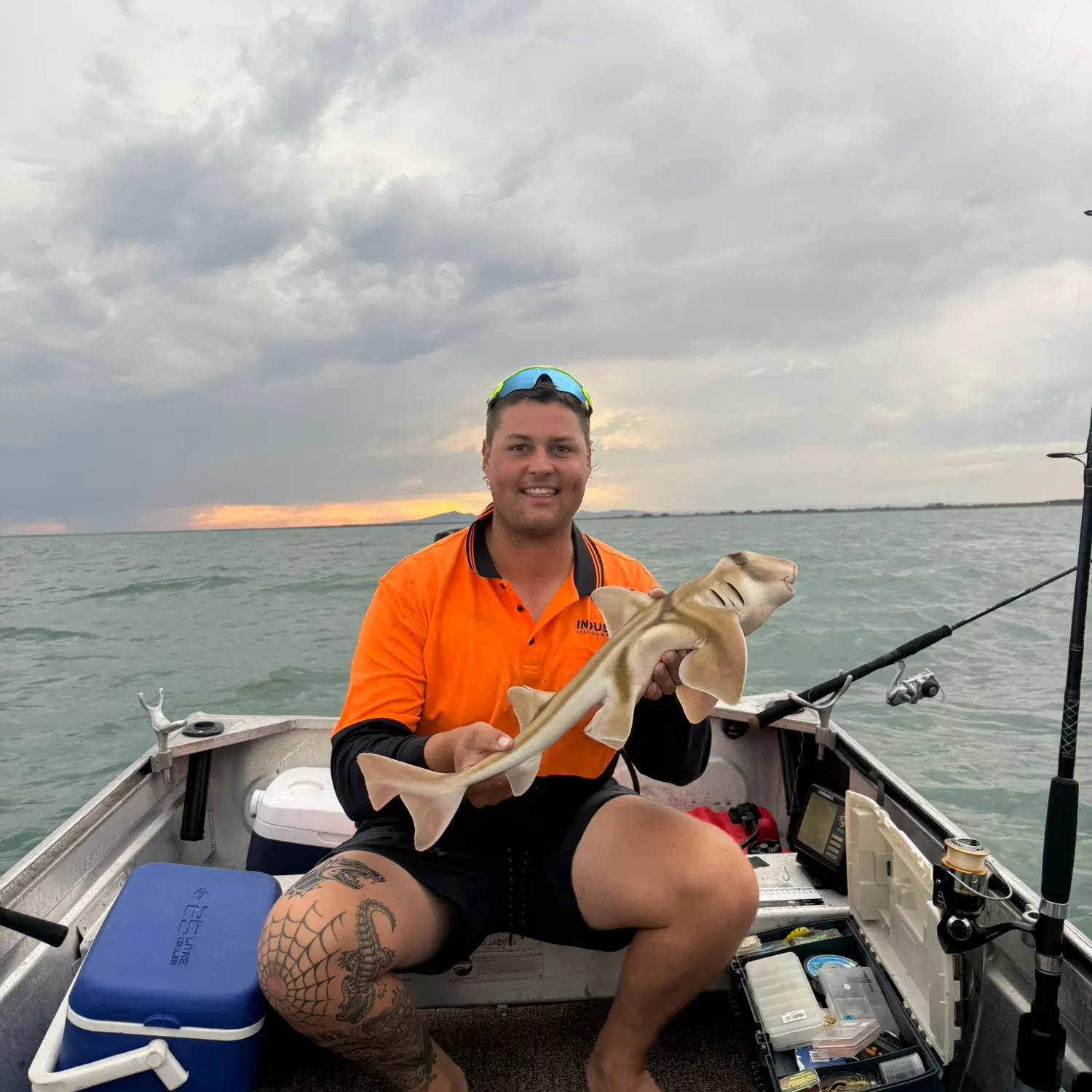 The most recent Port Jackson shark catches on Fishbrain