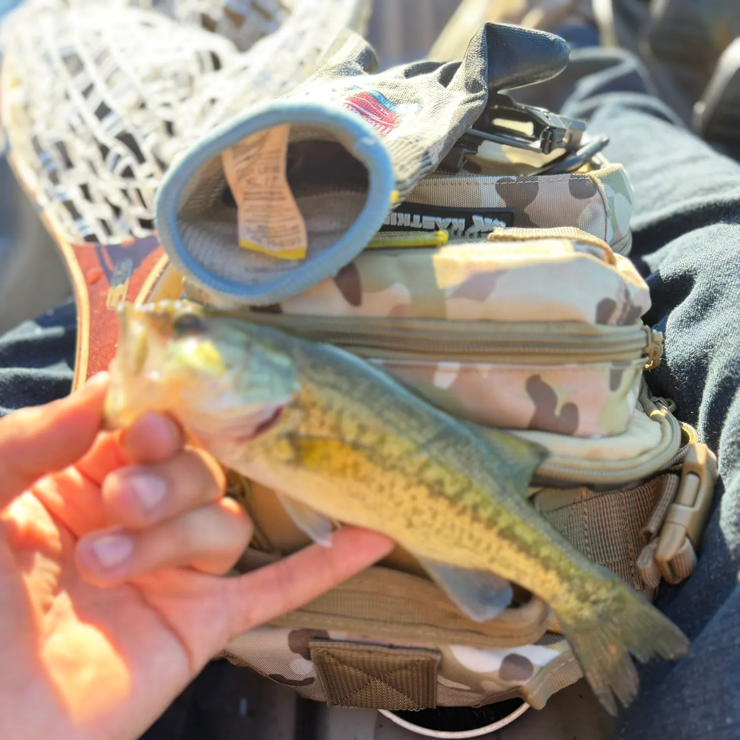 catch
