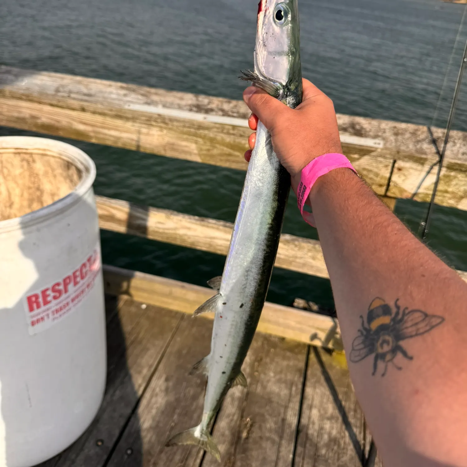 recently logged catches
