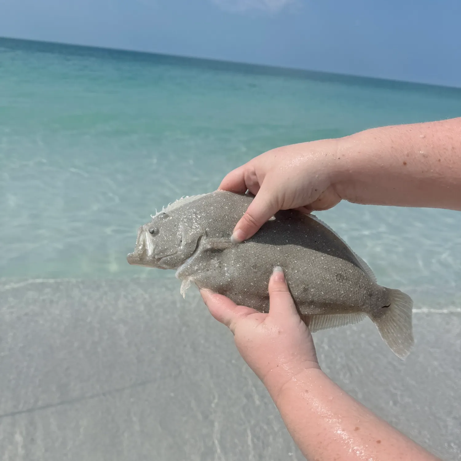 The most recent Southern flounder catches on Fishbrain
