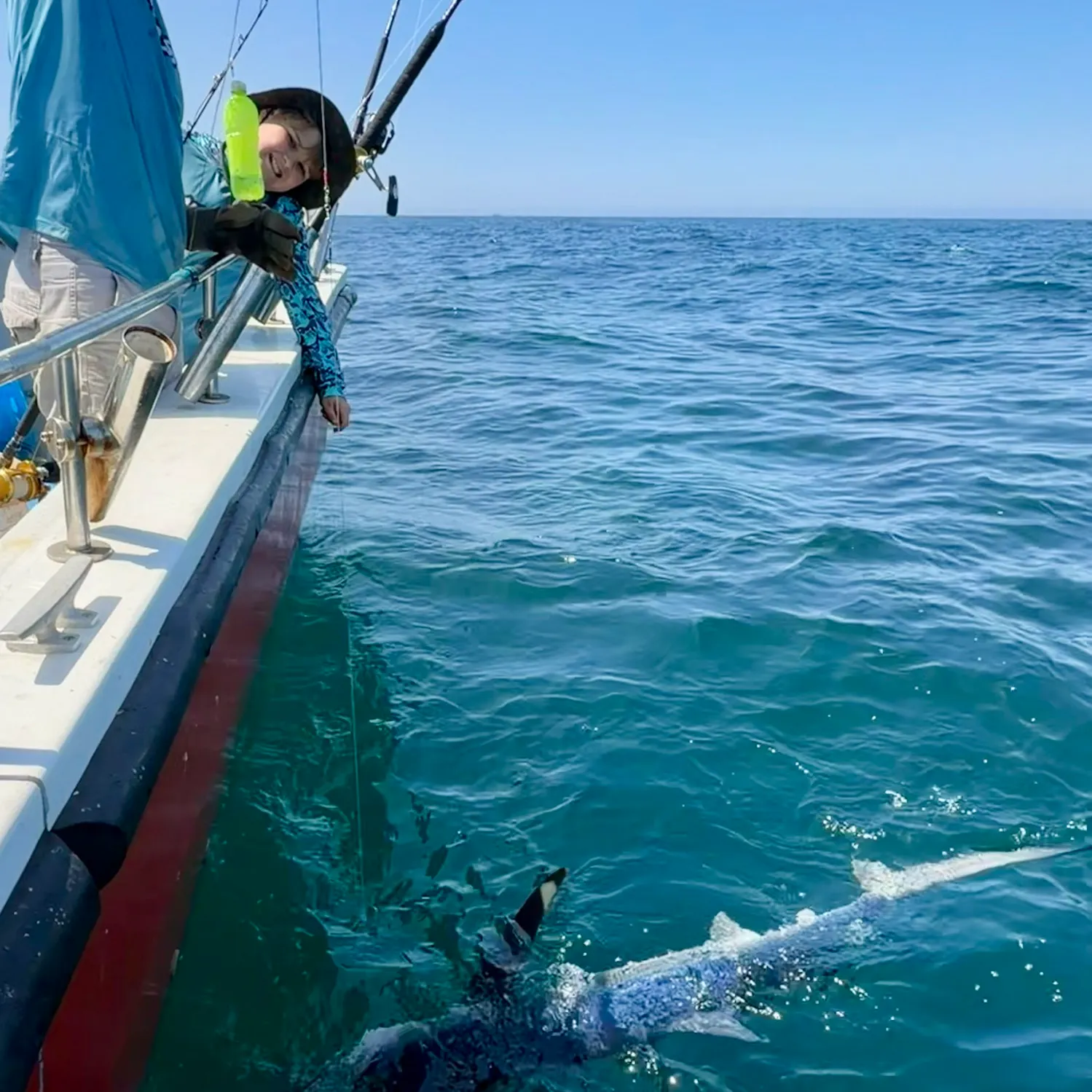 The most recent Blue shark catches on Fishbrain