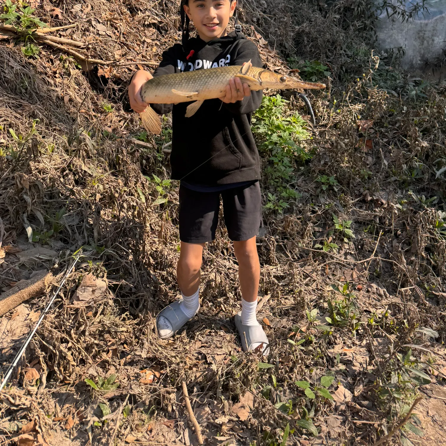 The most recent Shortnose gar catches on Fishbrain