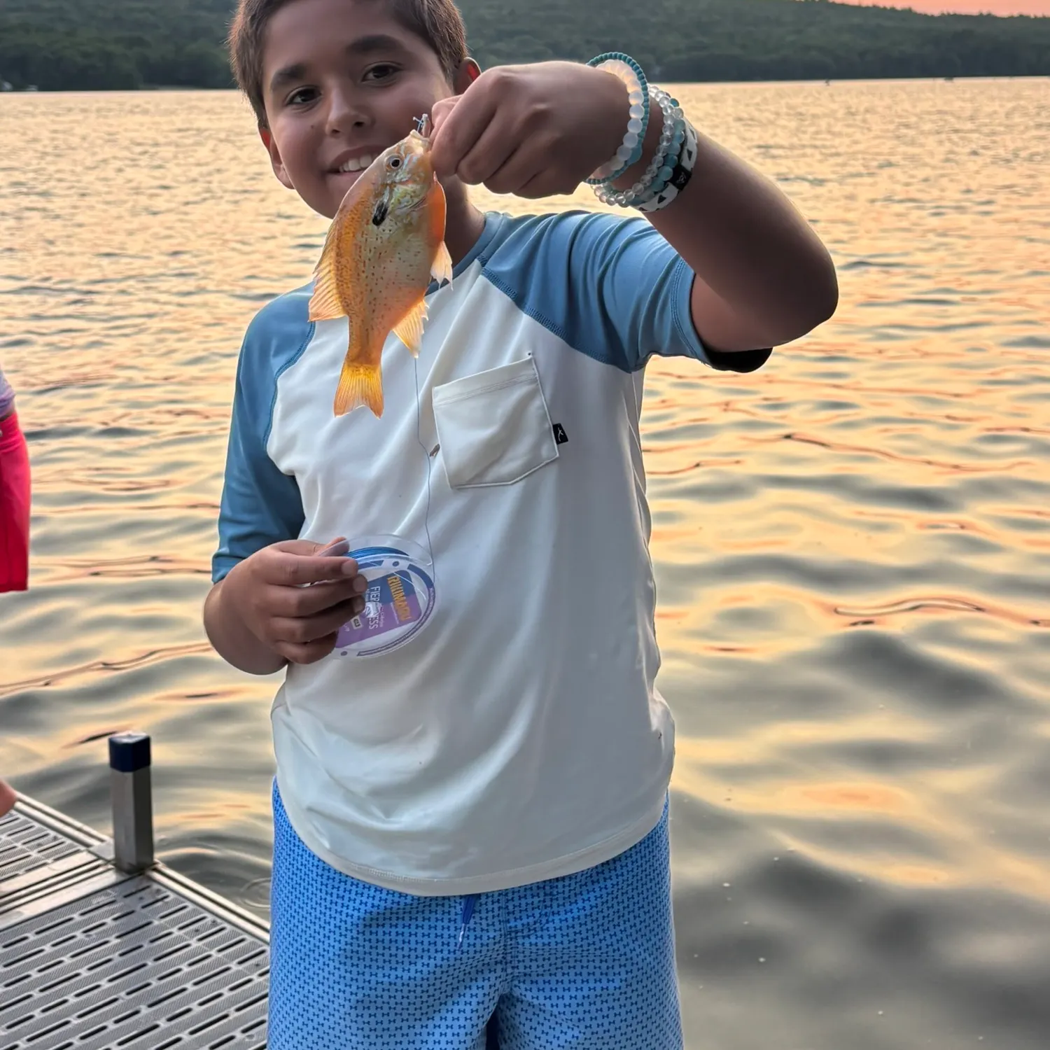The most recent Redbreast sunfish catches on Fishbrain