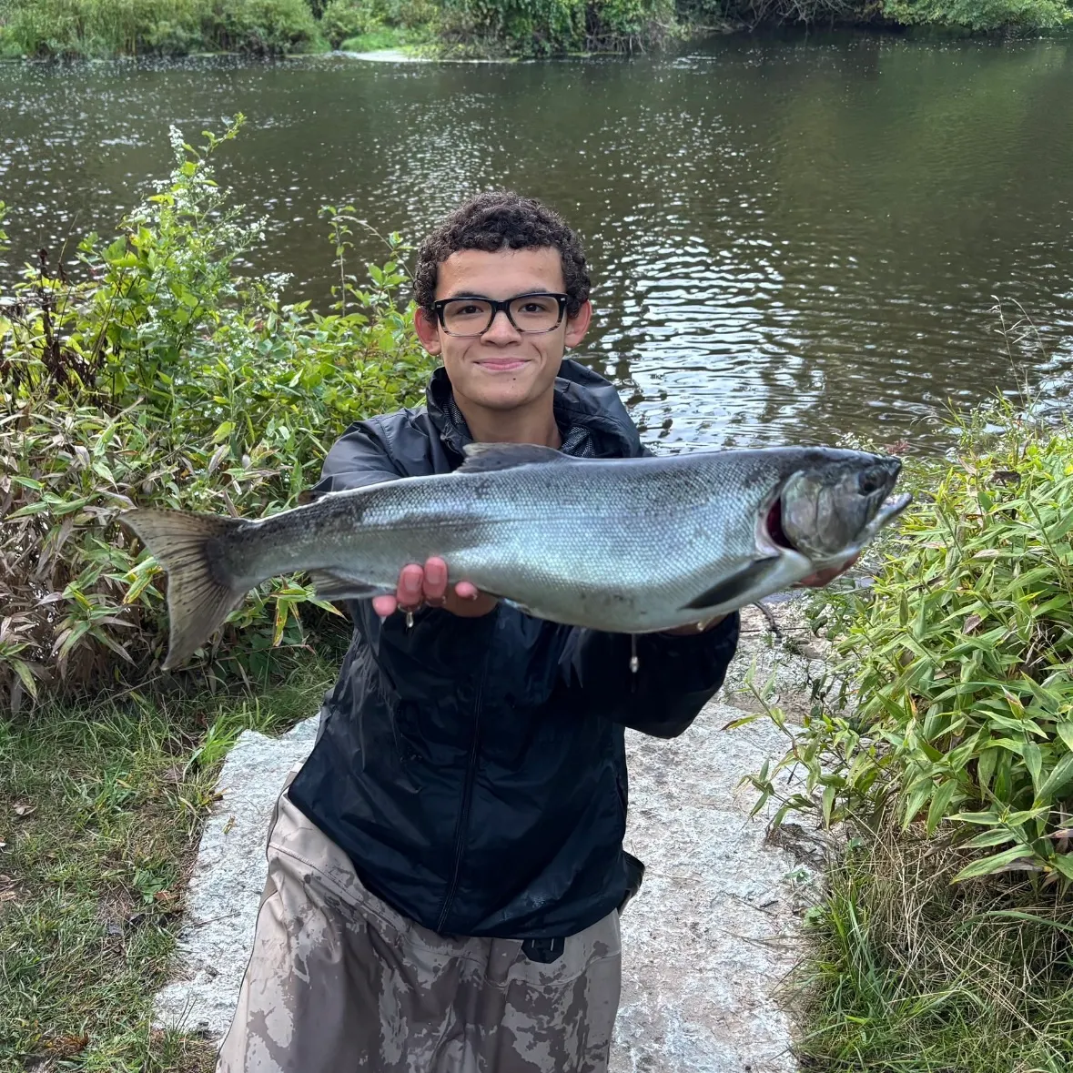 Coho salmon caught on Fishbrain