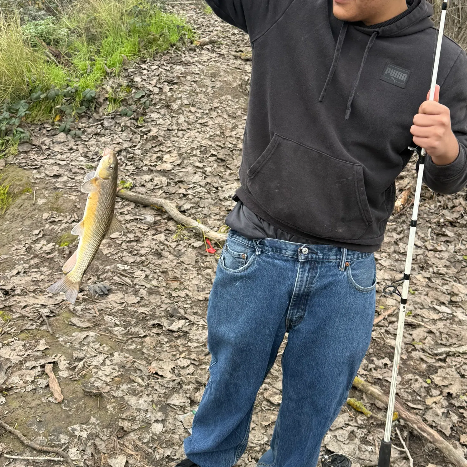 The most recent Sacramento sucker catches on Fishbrain