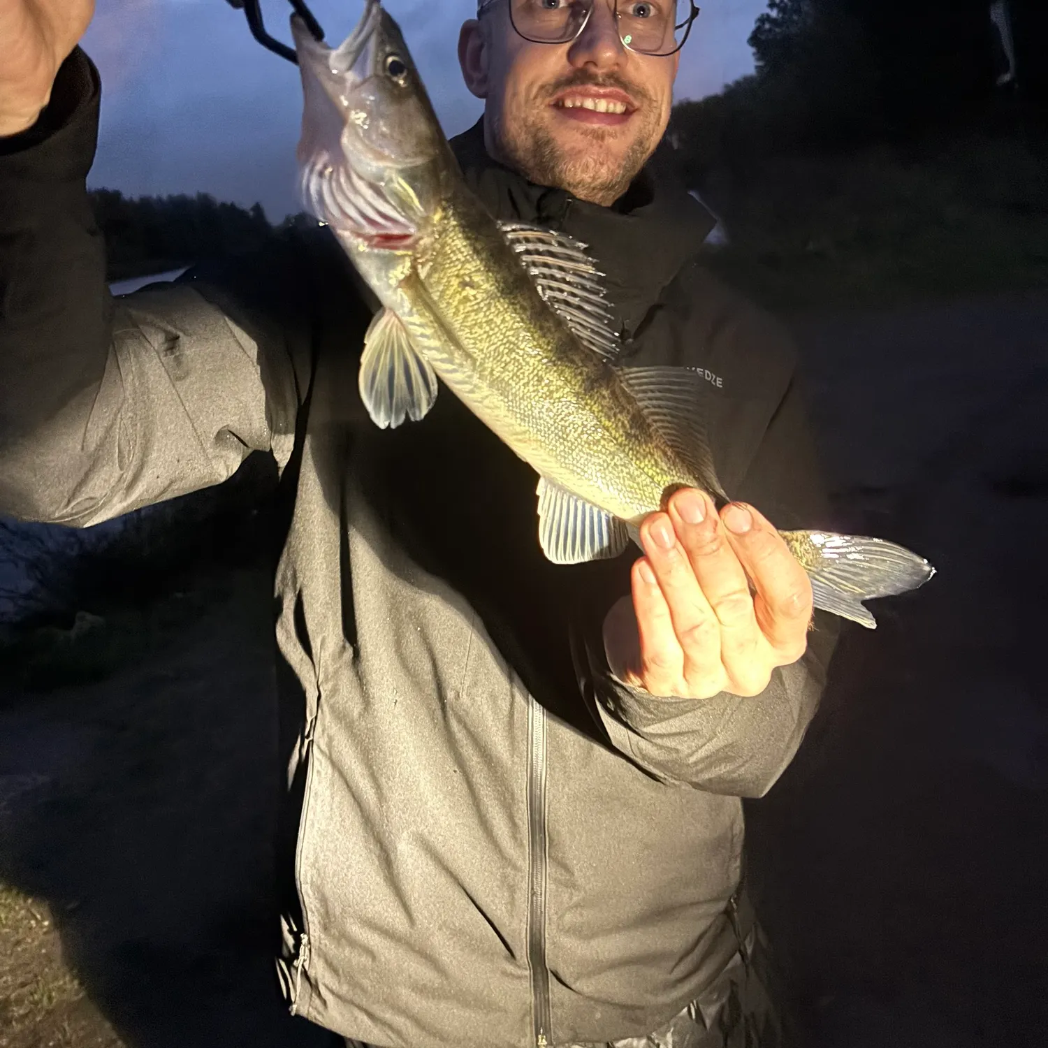 Zander caught on Fishbrain