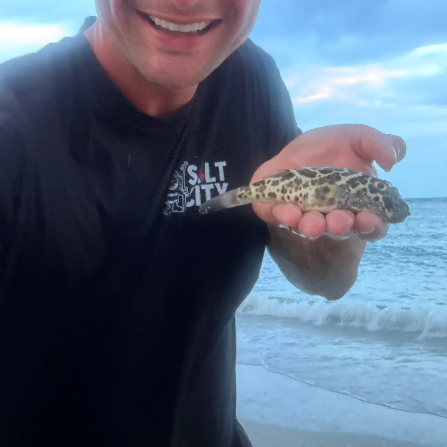 The most recent Checkered puffer catches on Fishbrain