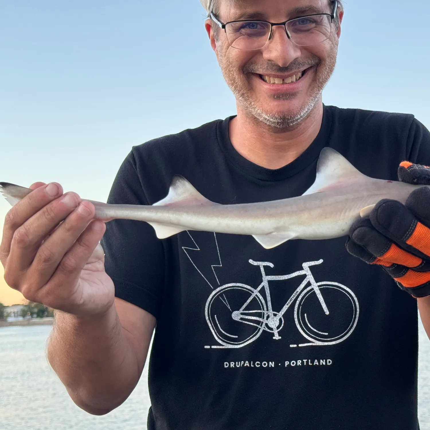 Dusky smooth-hound caught on Fishbrain
