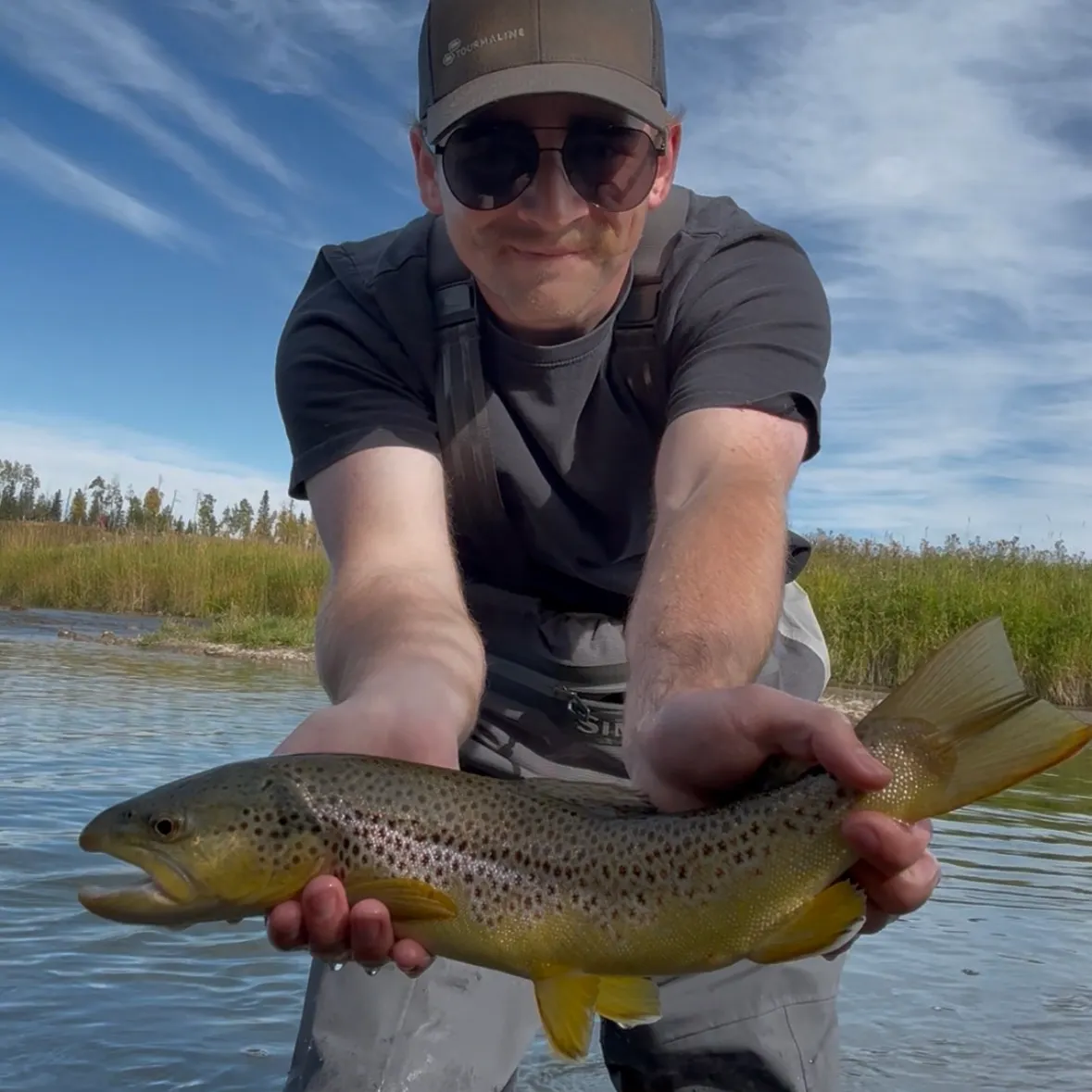 Brown trout caught on Fishbrain