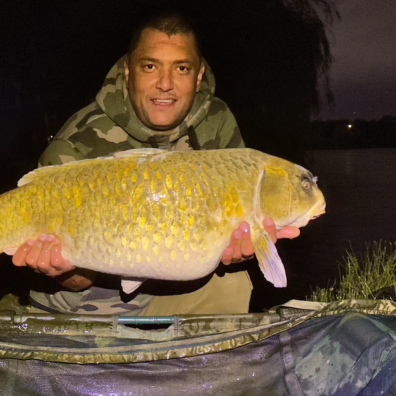 Koi carp caught on Fishbrain