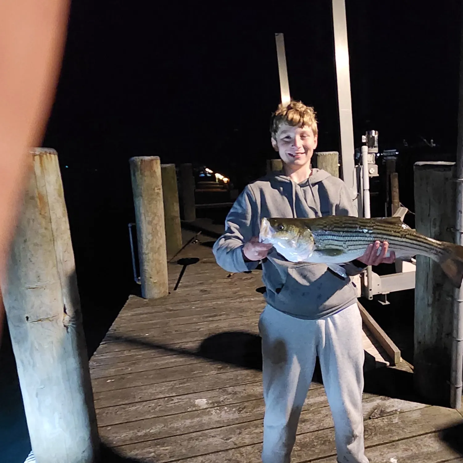 Striped bass caught on Fishbrain