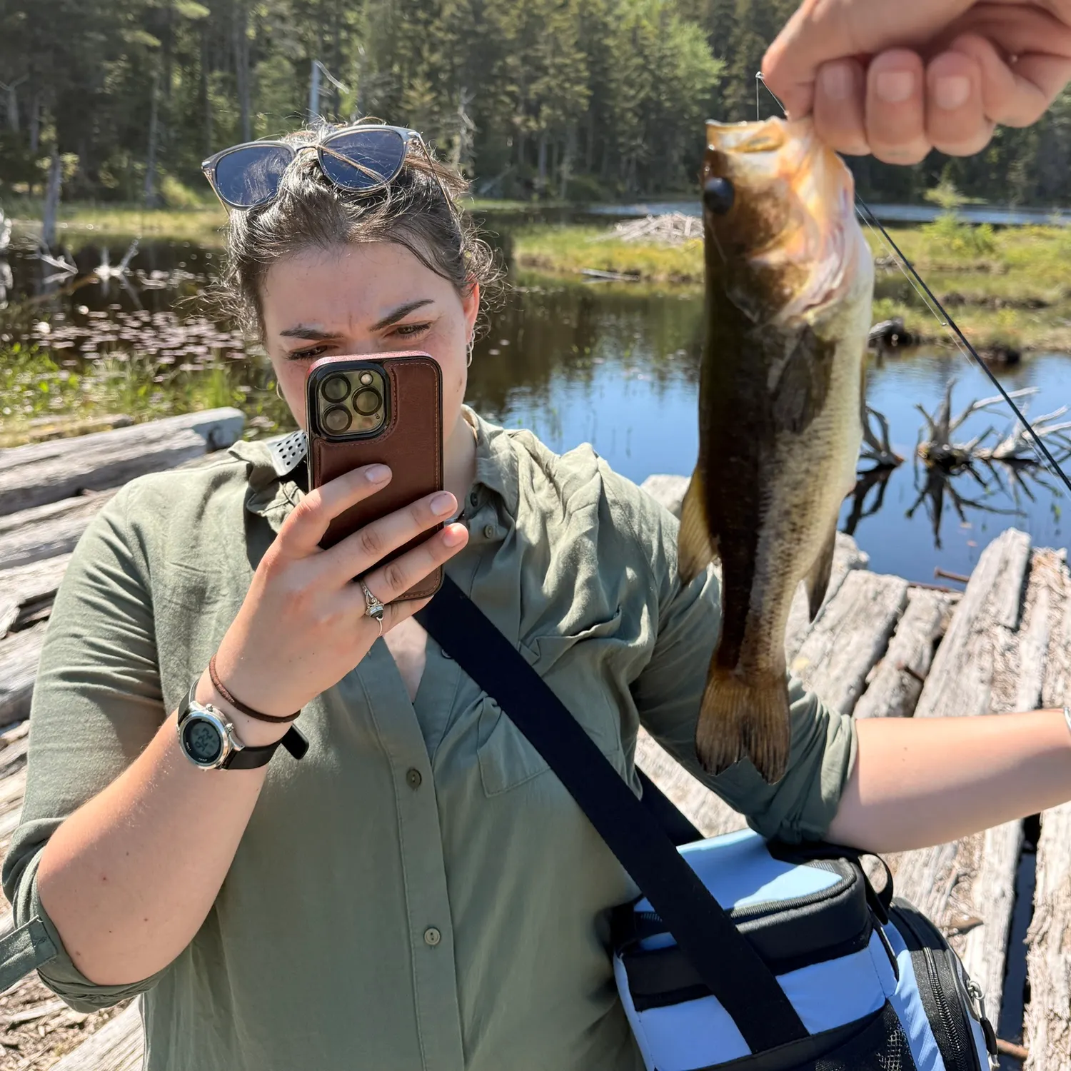 recently logged catches