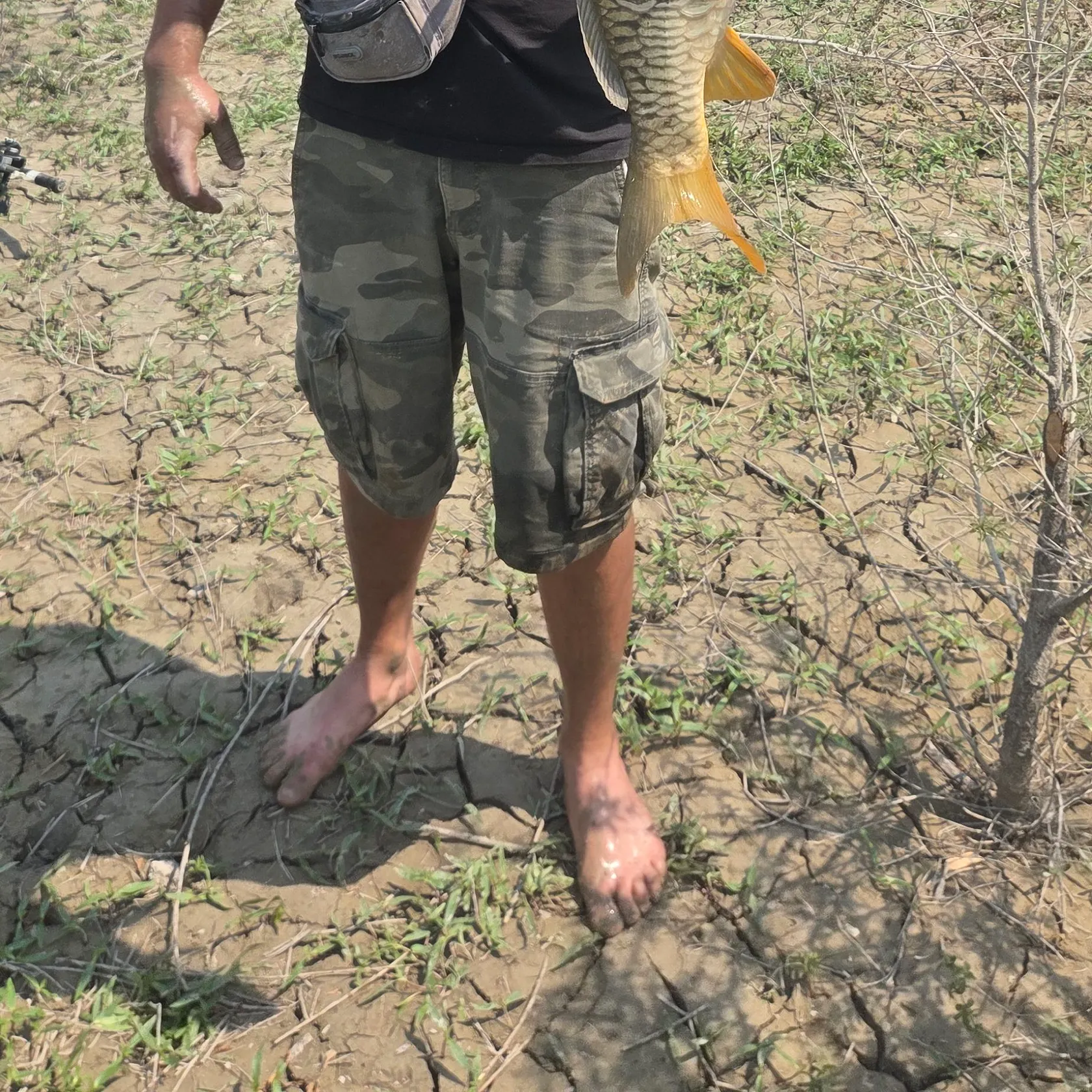 Fish caught on Fishbrain