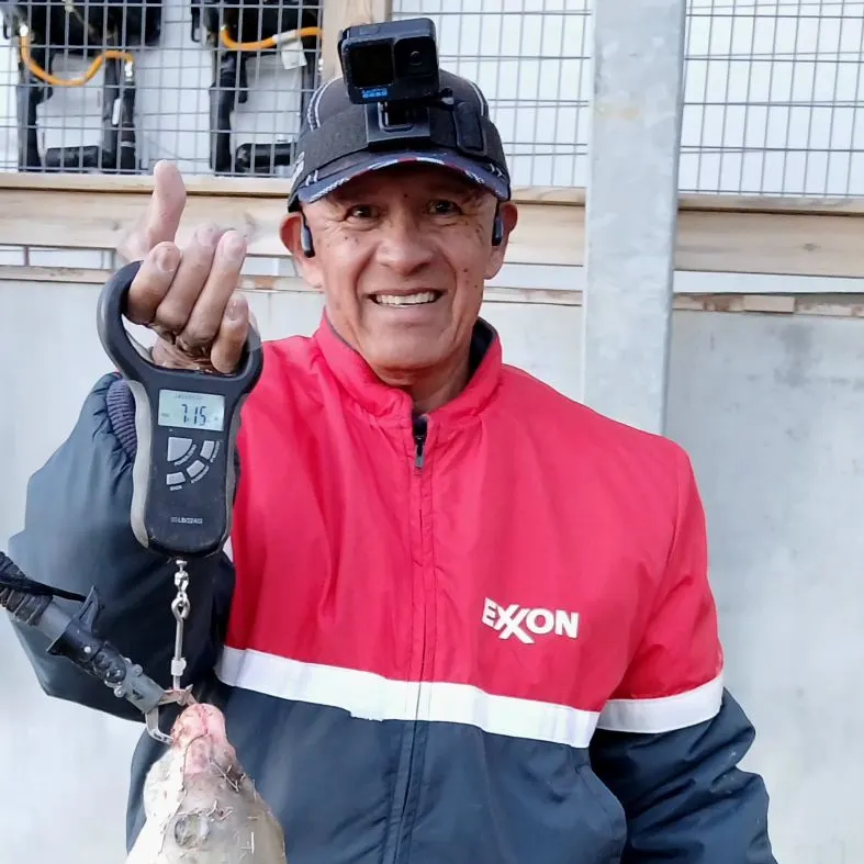 The most recent Smallmouth buffalo catches on Fishbrain