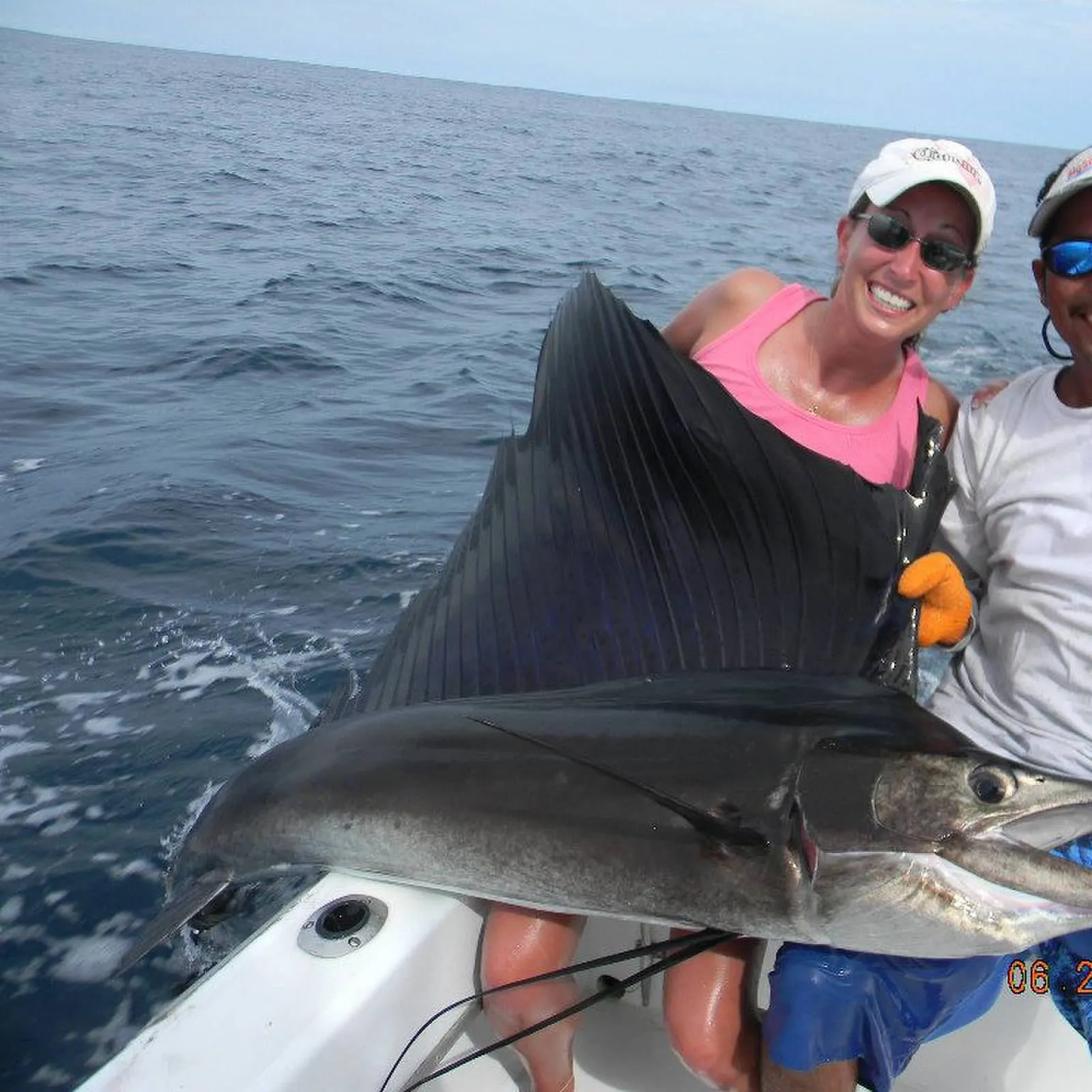 The most recent Atlantic sailfish catches on Fishbrain