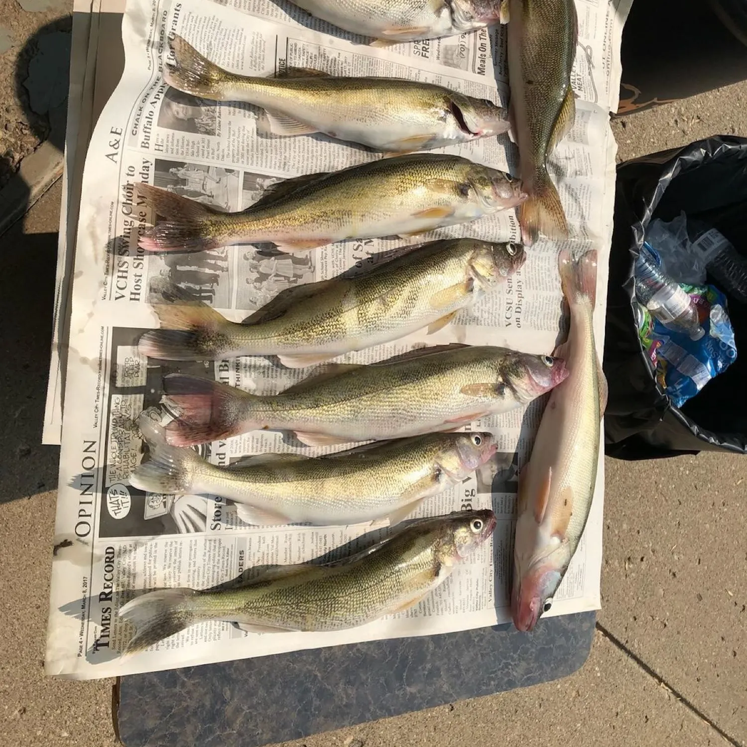 recently logged catches