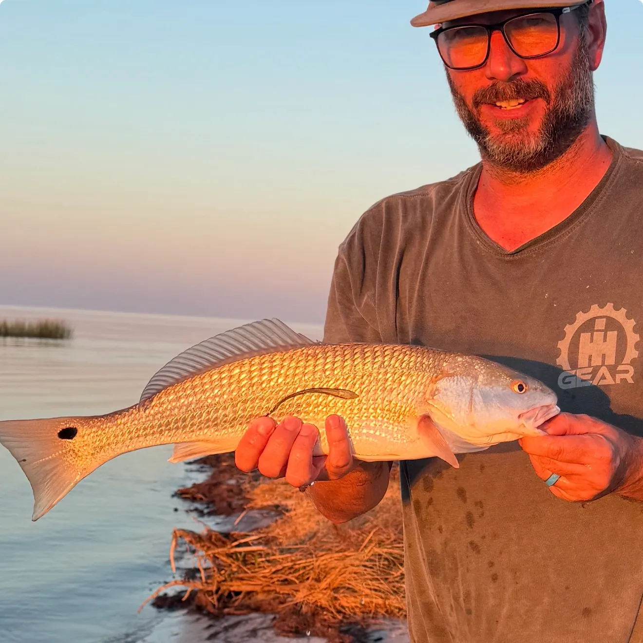 Red drum caught on Fishbrain