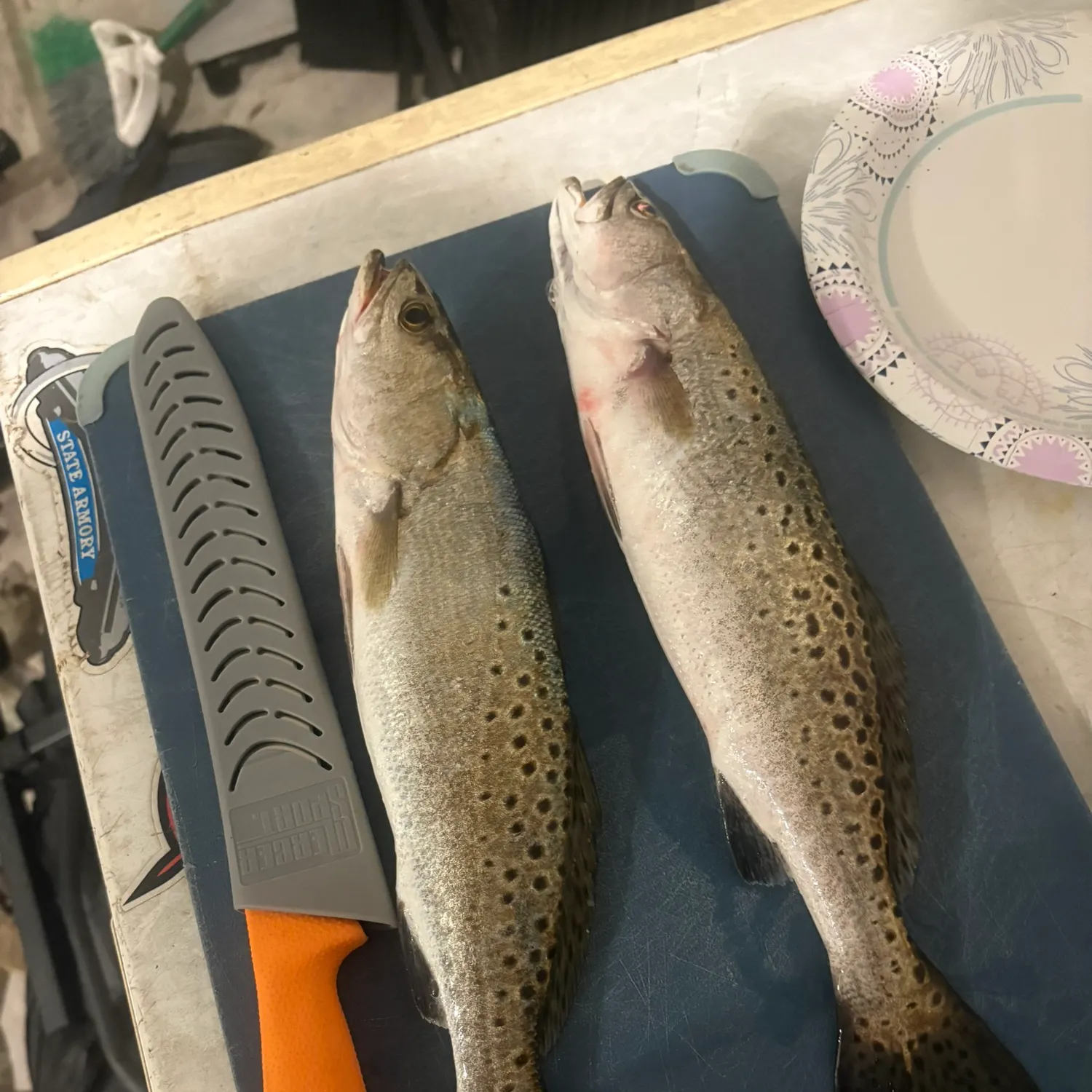 Spotted seatrout caught on Fishbrain