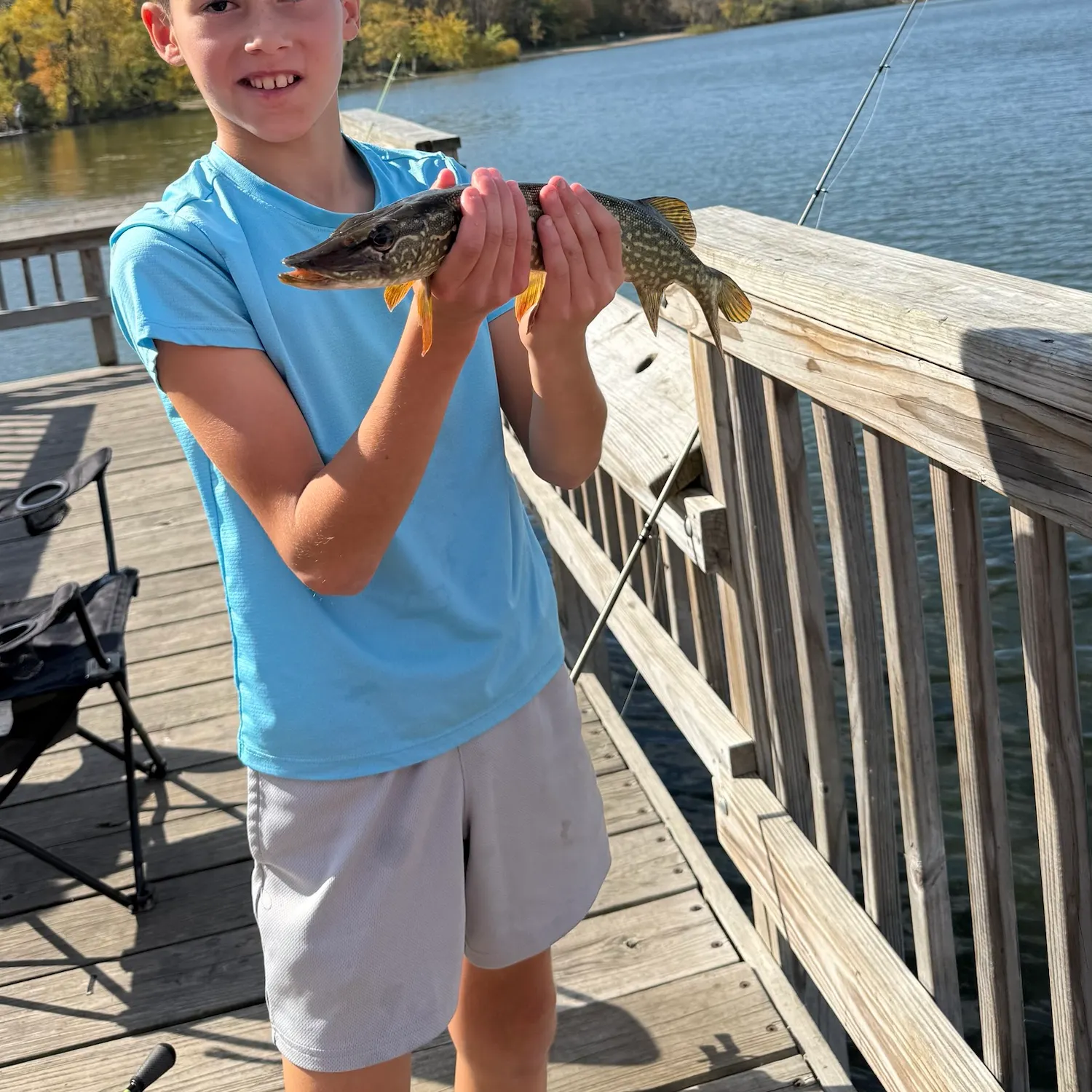 Northern pike caught on Fishbrain