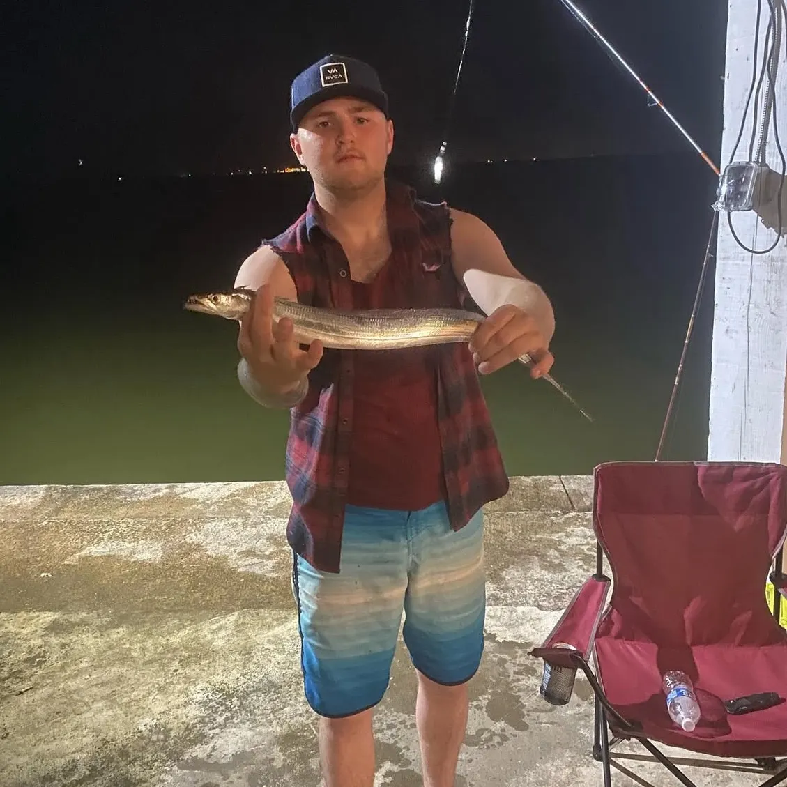 The most recent Atlantic cutlassfish catches on Fishbrain