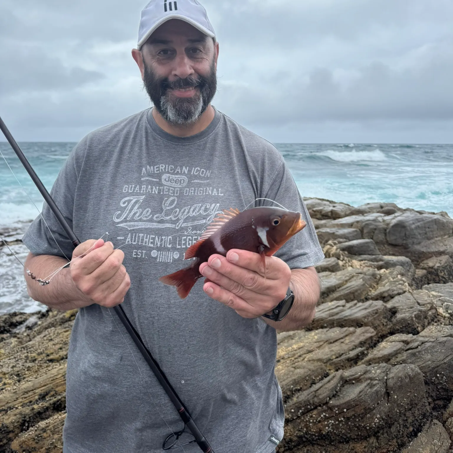The most recent Roman seabream catches on Fishbrain