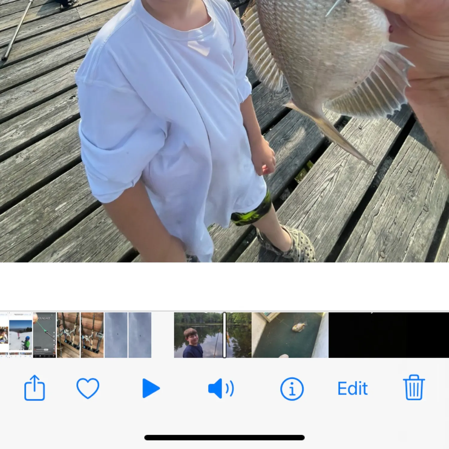 recently logged catches