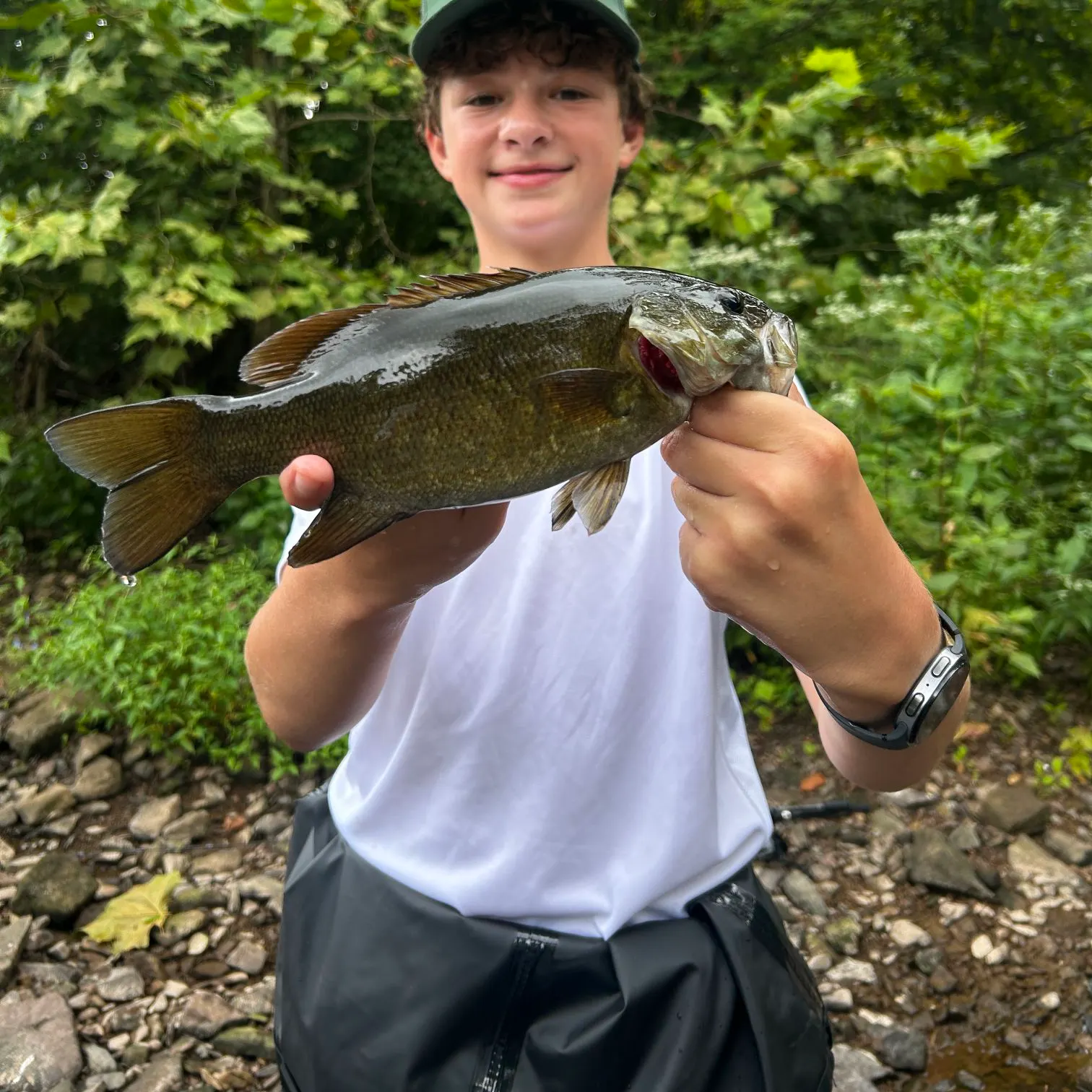 Smallmouth bass caught on Fishbrain