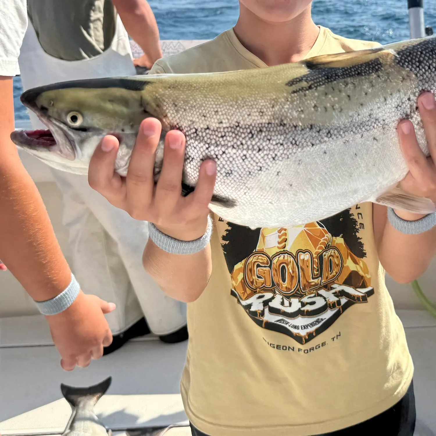 Brown trout caught on Fishbrain