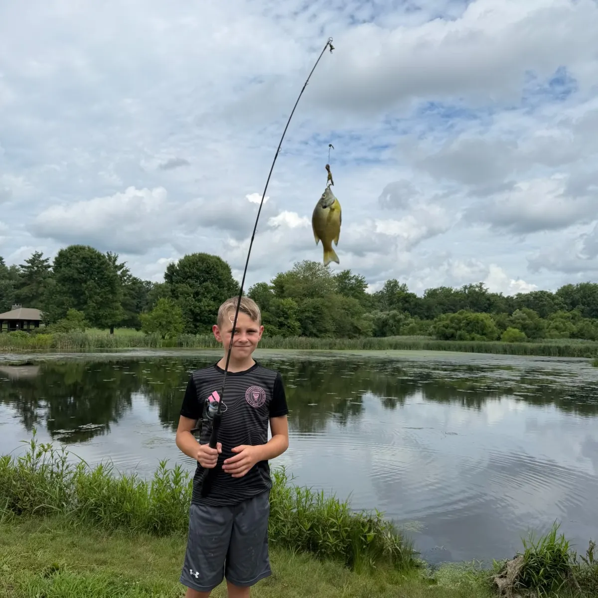 Bluegill caught on Fishbrain
