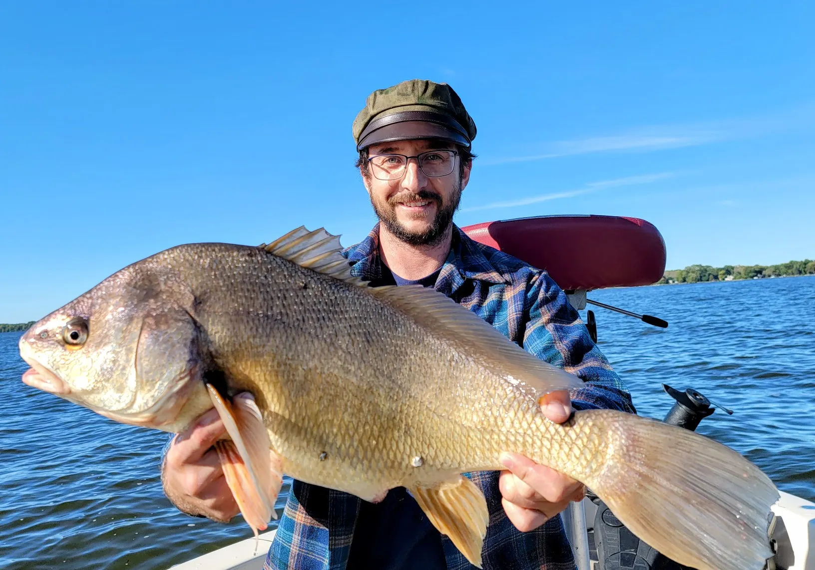 Freshwater drum