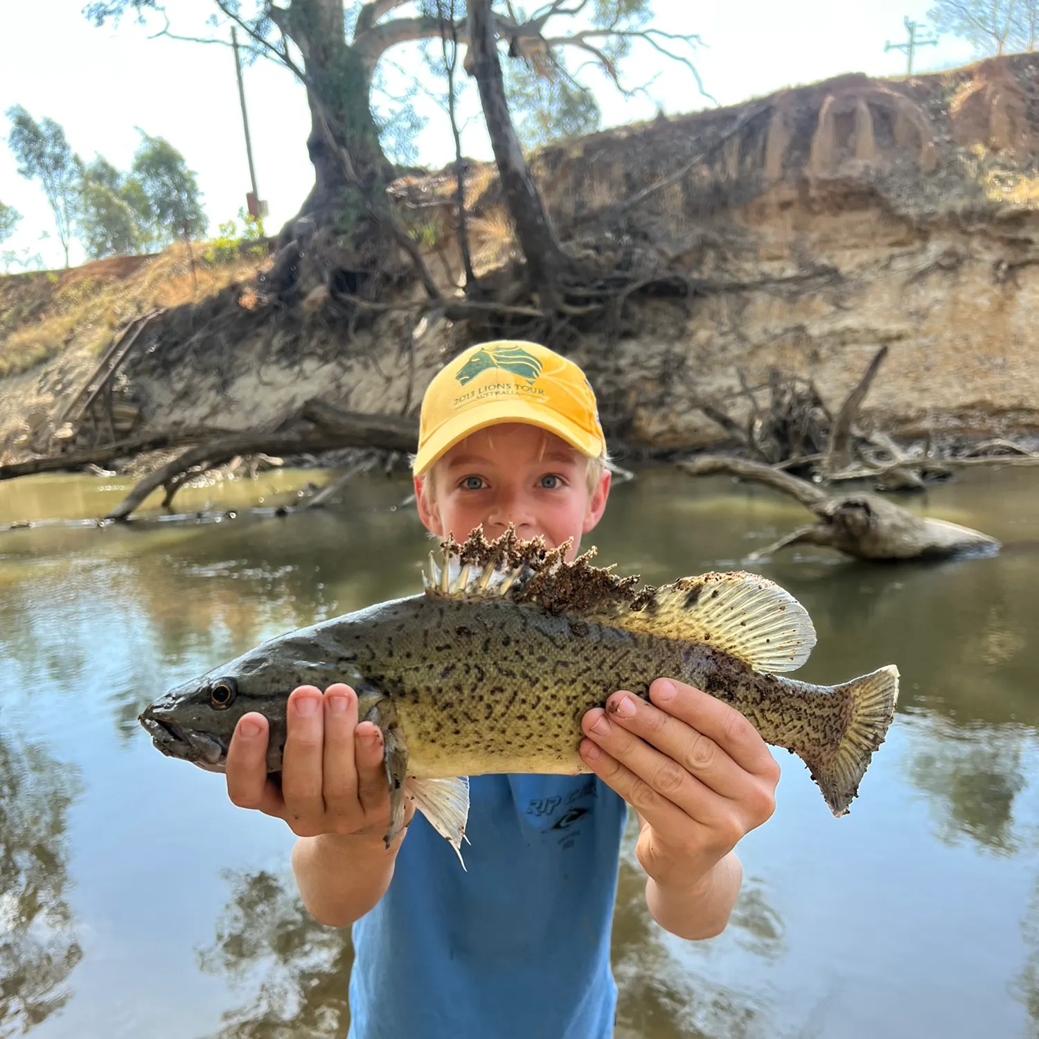 most liked catch image