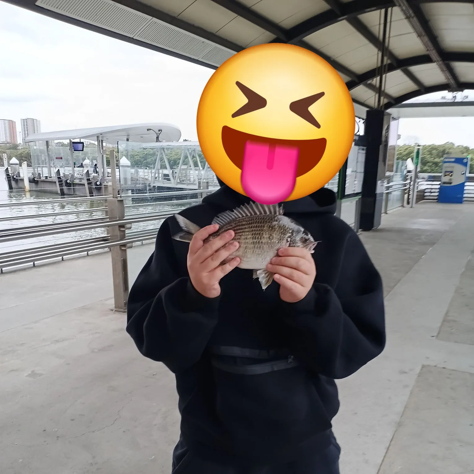 Surf bream caught on Fishbrain